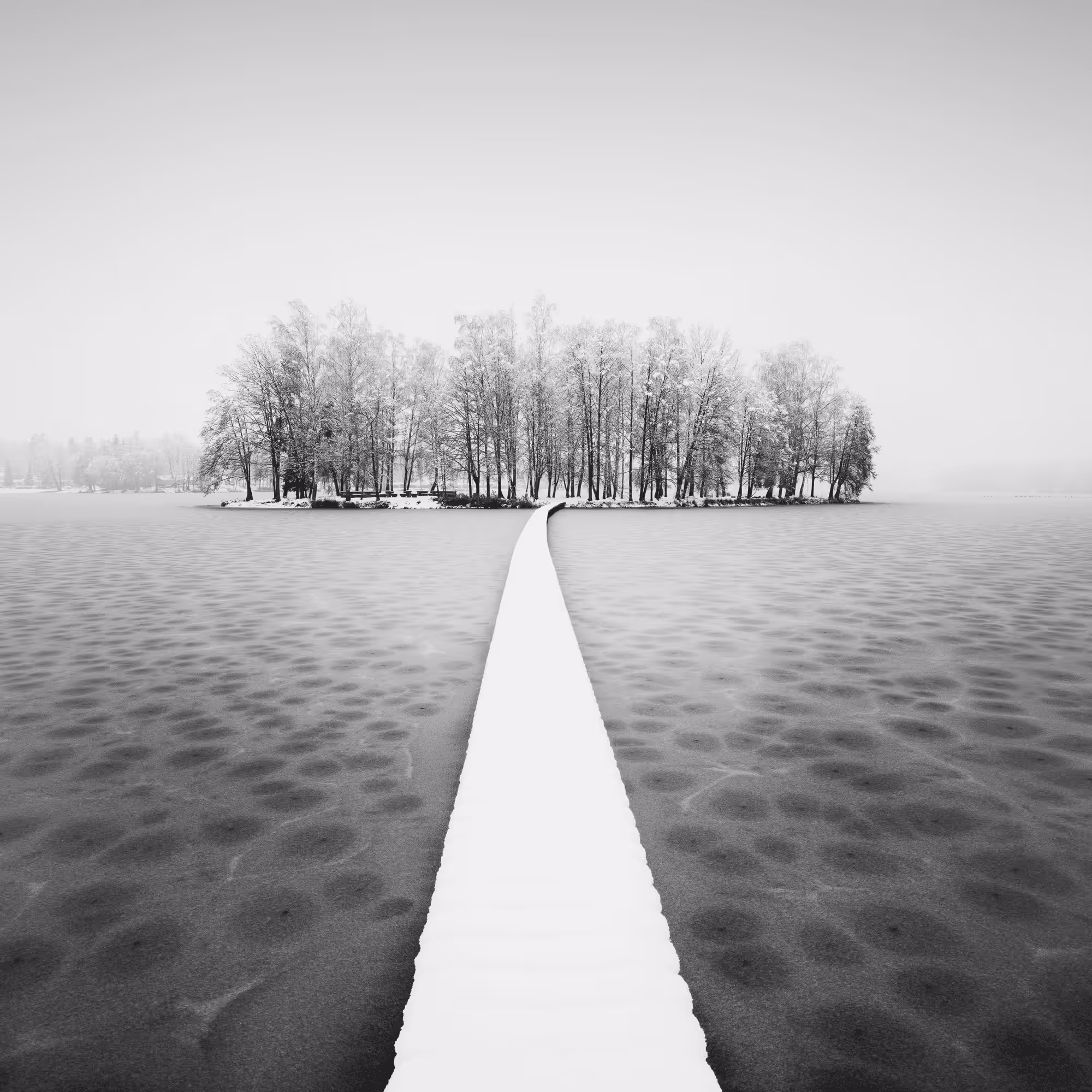 Sound of Silence #38