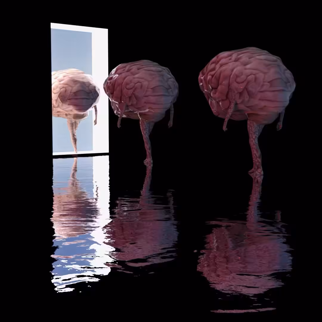 The Illuminated Mind