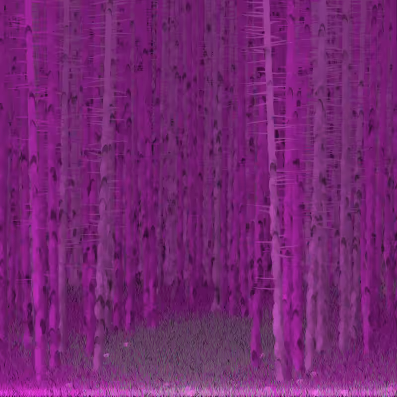 Berkenbos #2