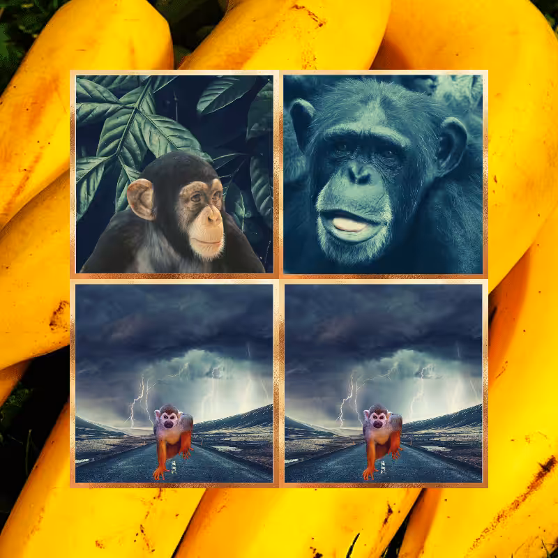 Banana legends #18