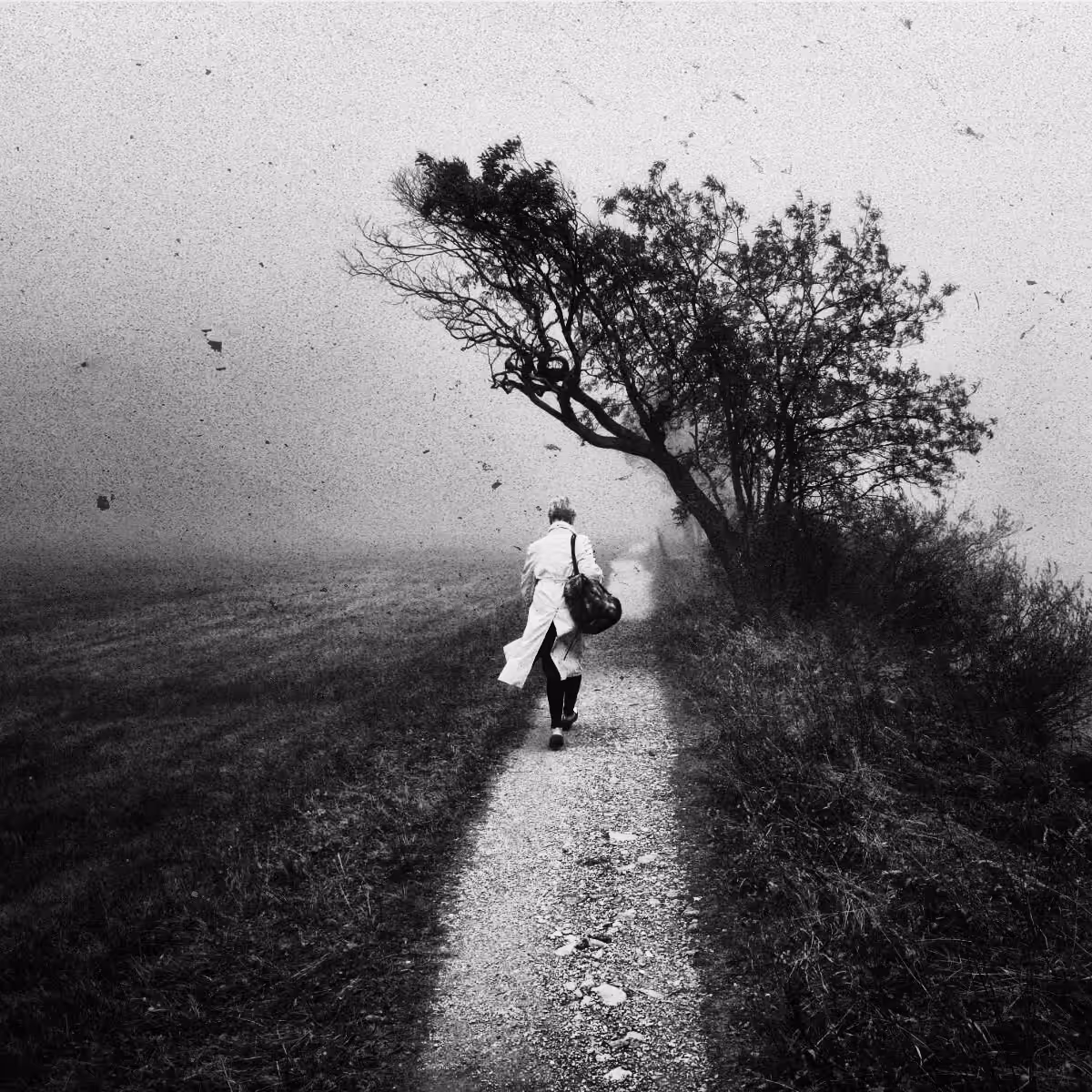 Something beyond the fog