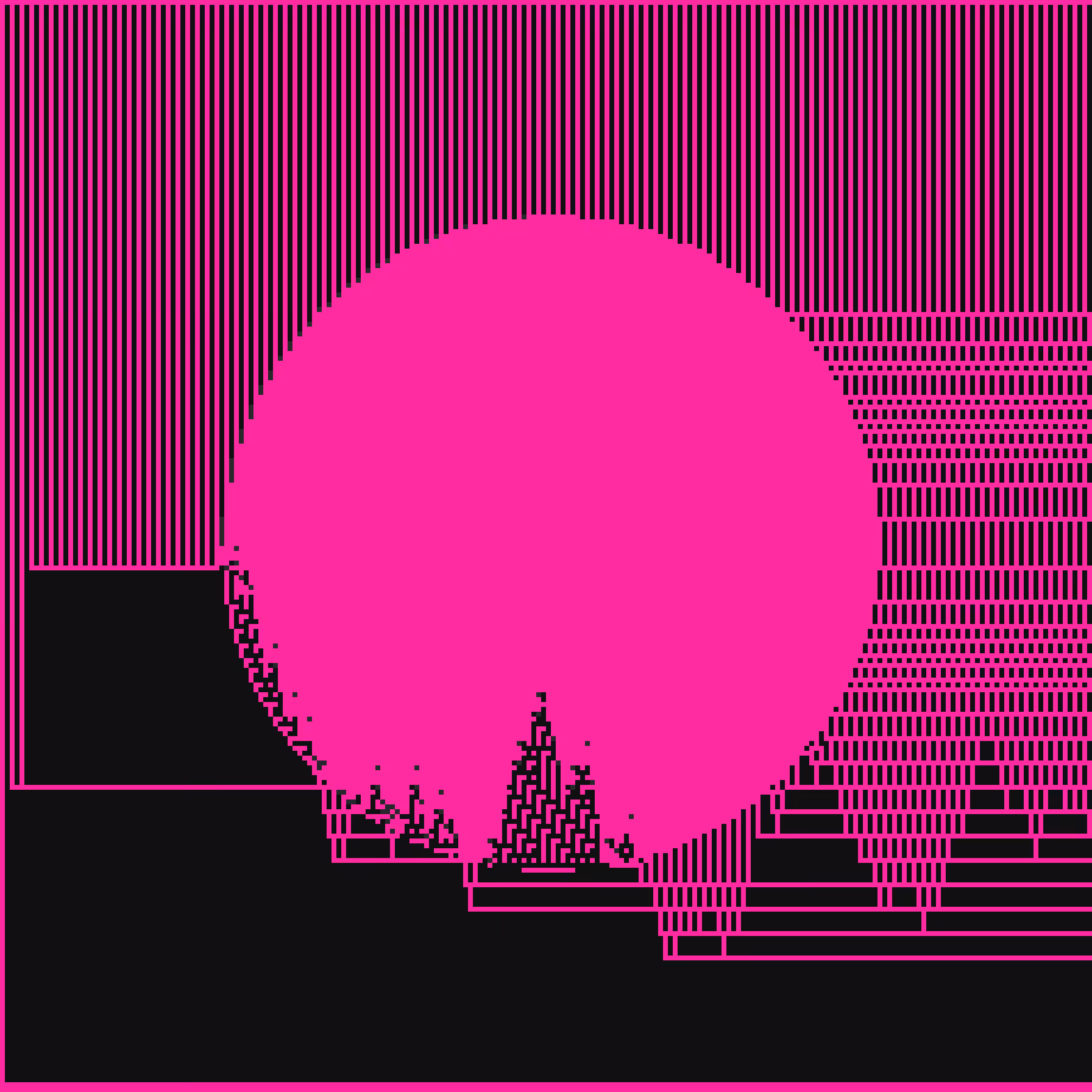 Flamingo sunset
