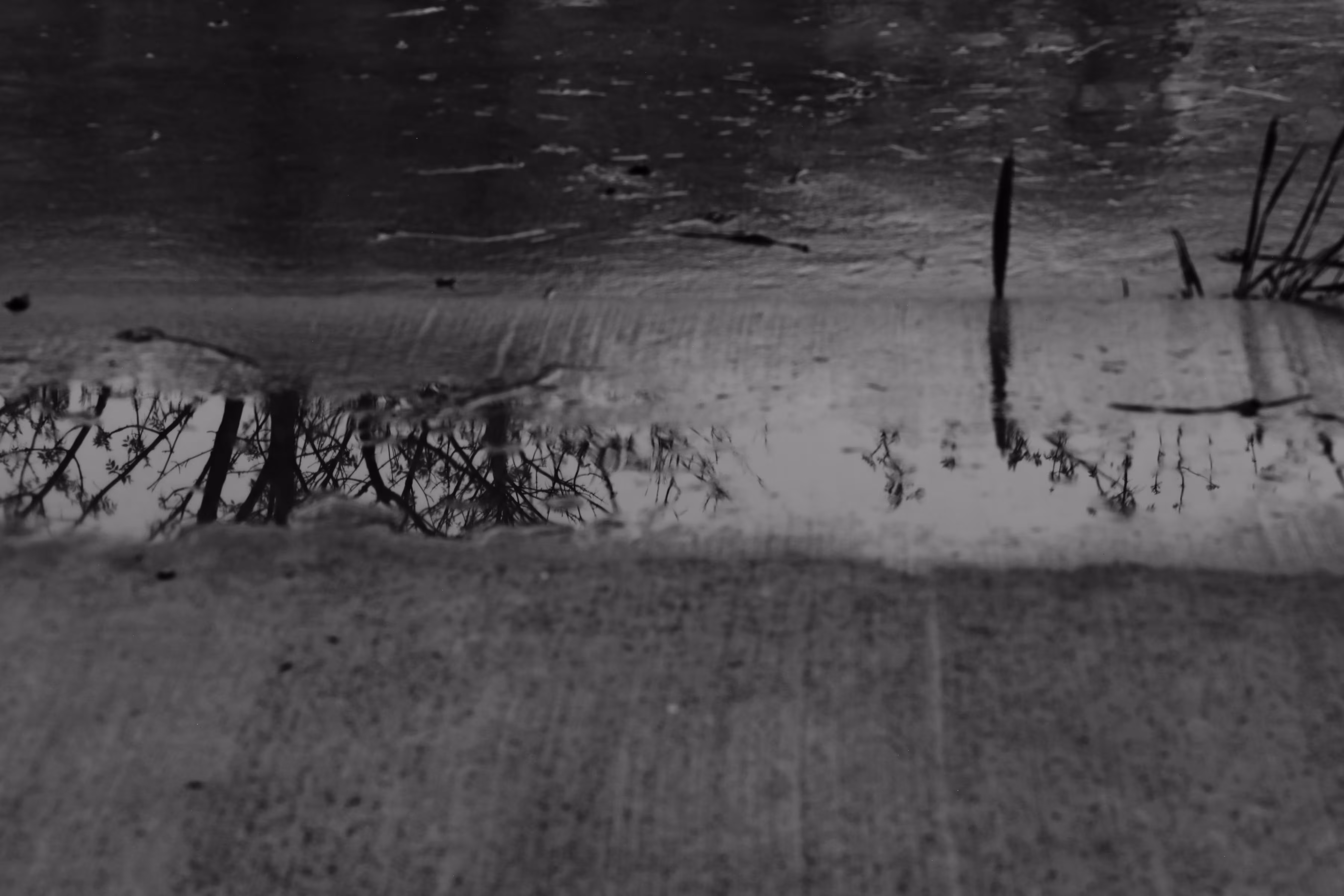 _edge of the storm
