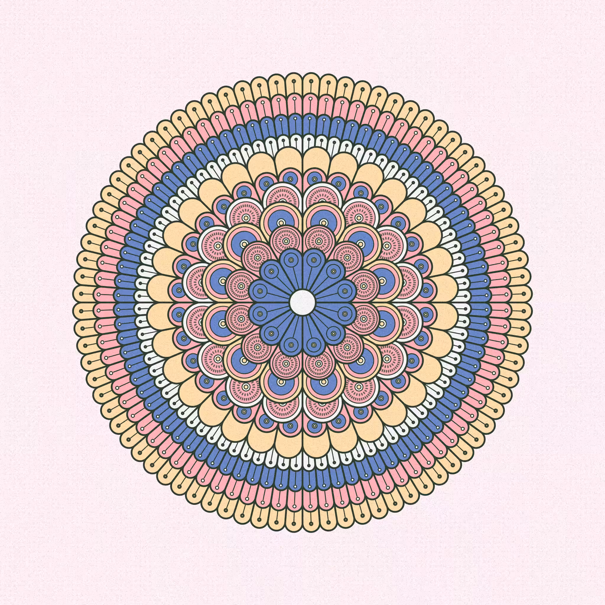 metamorph. #40