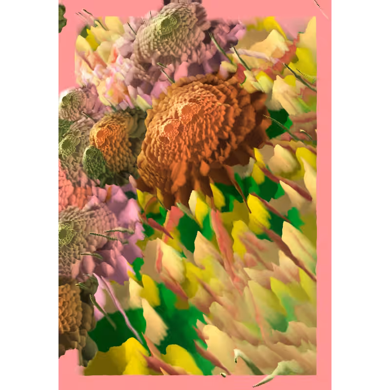 Rococo #244