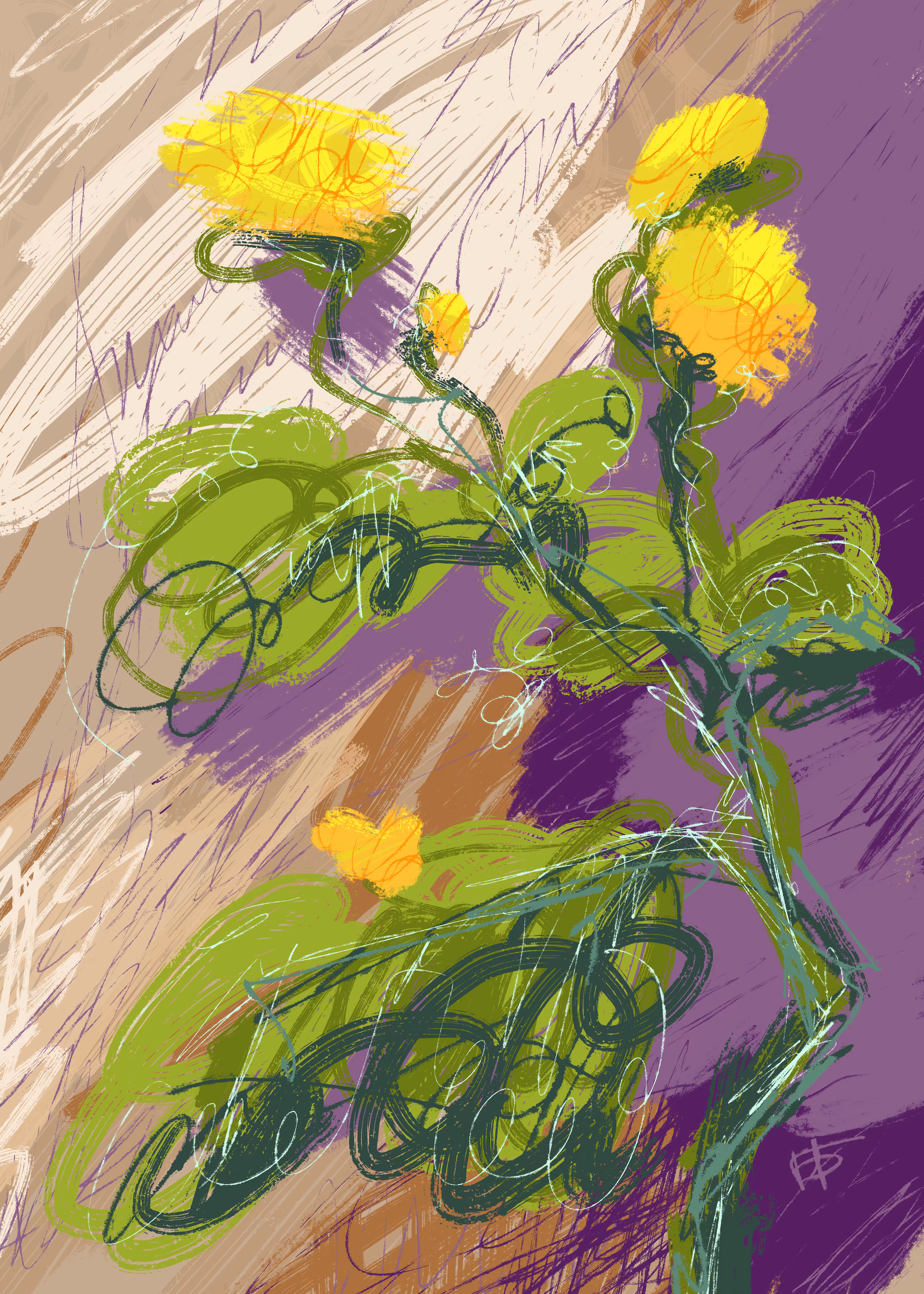 Wild Yellow Flowers