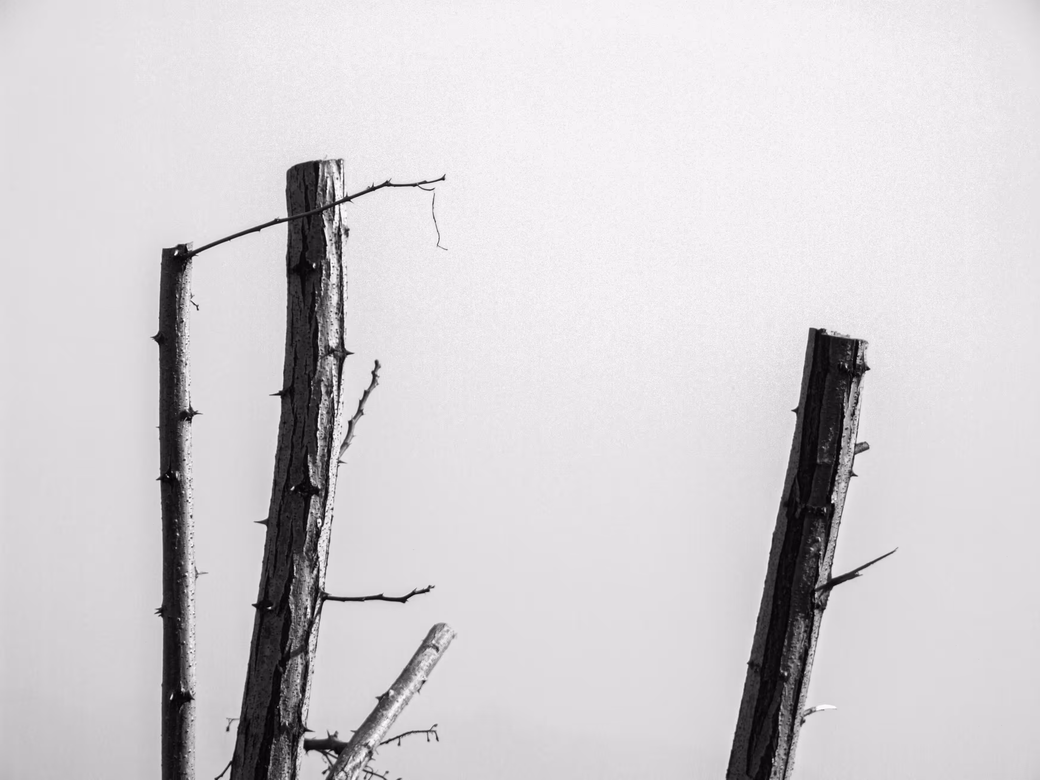 dry dry dry