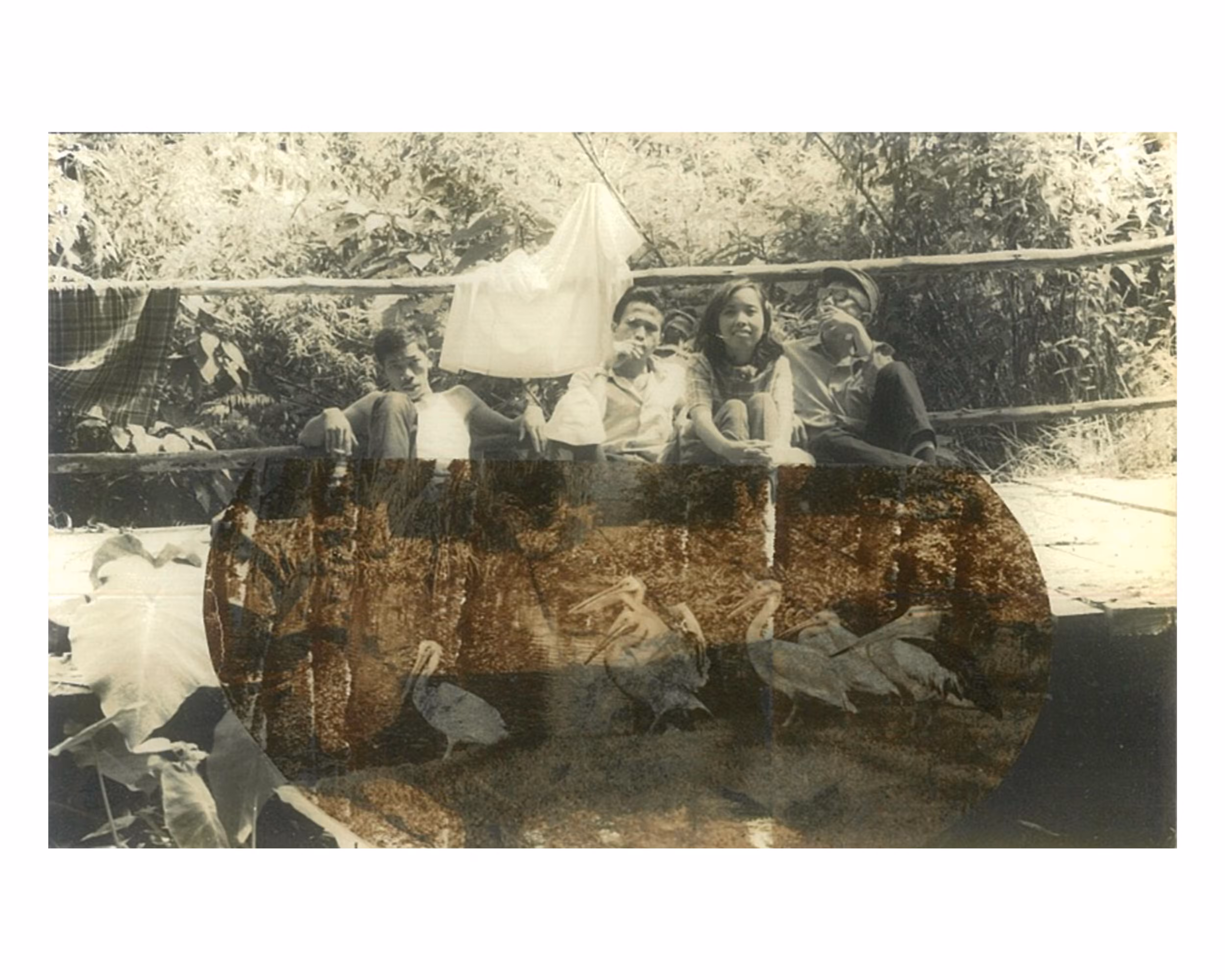 unidentified photo album: let’s go outside (unidentified photo album)