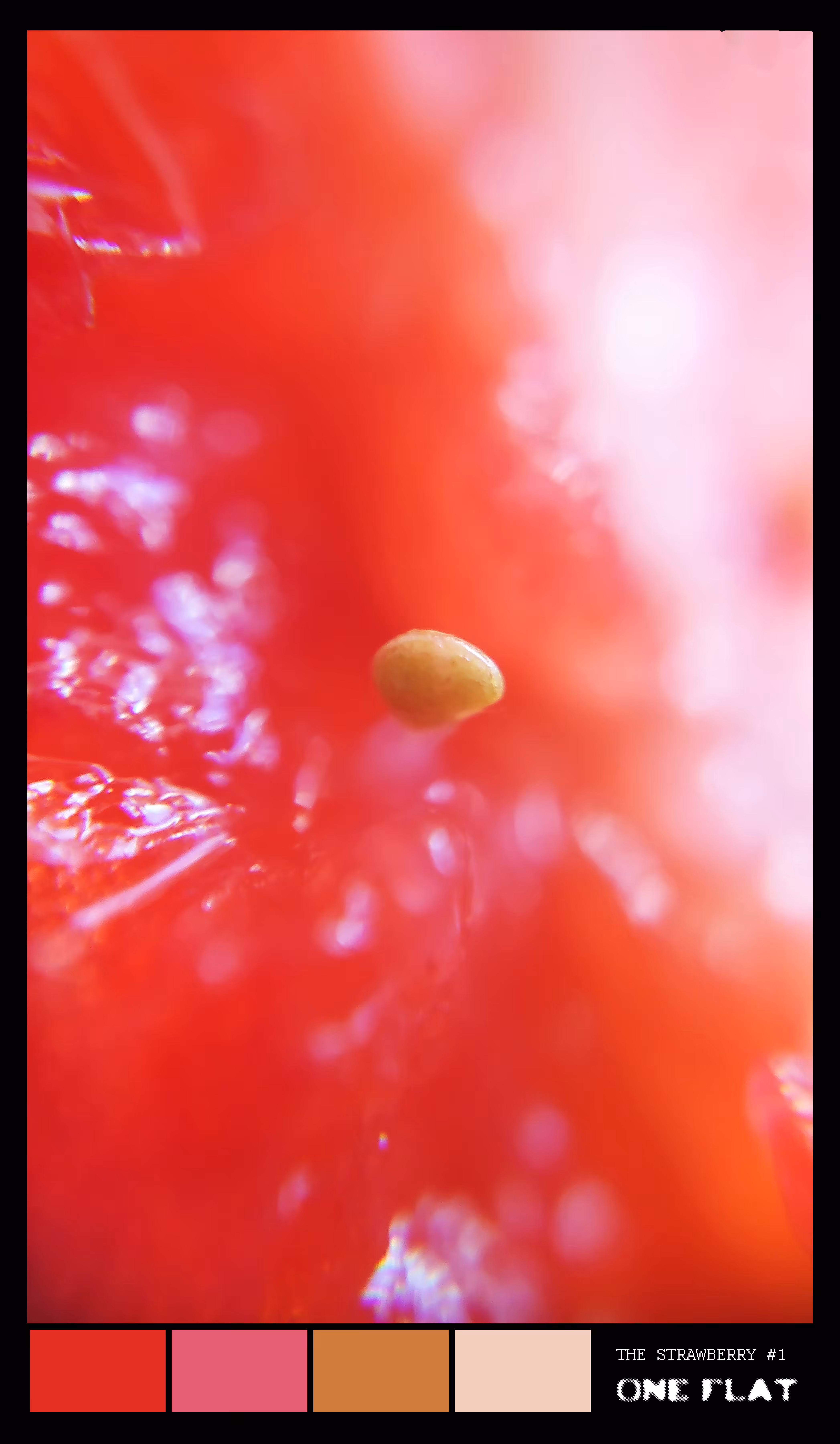 The Strawberry #1