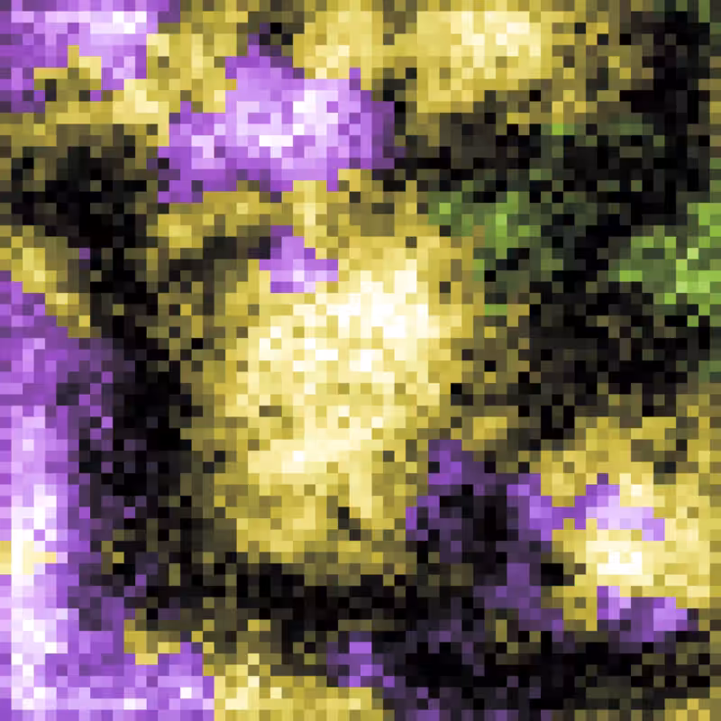 Rainbow Ripples Automaton #43