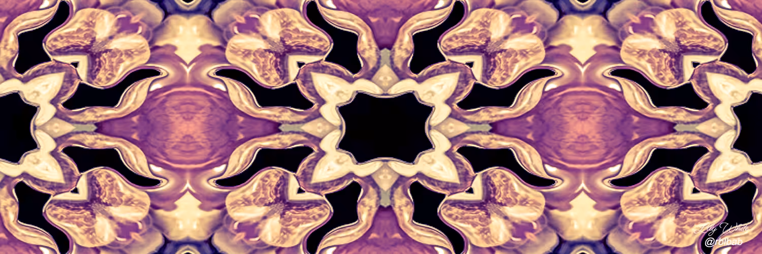 Social Media Banner 35