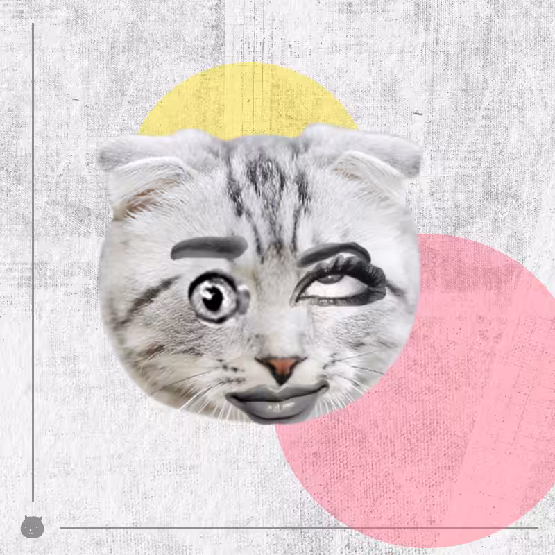 Kittenstein #61