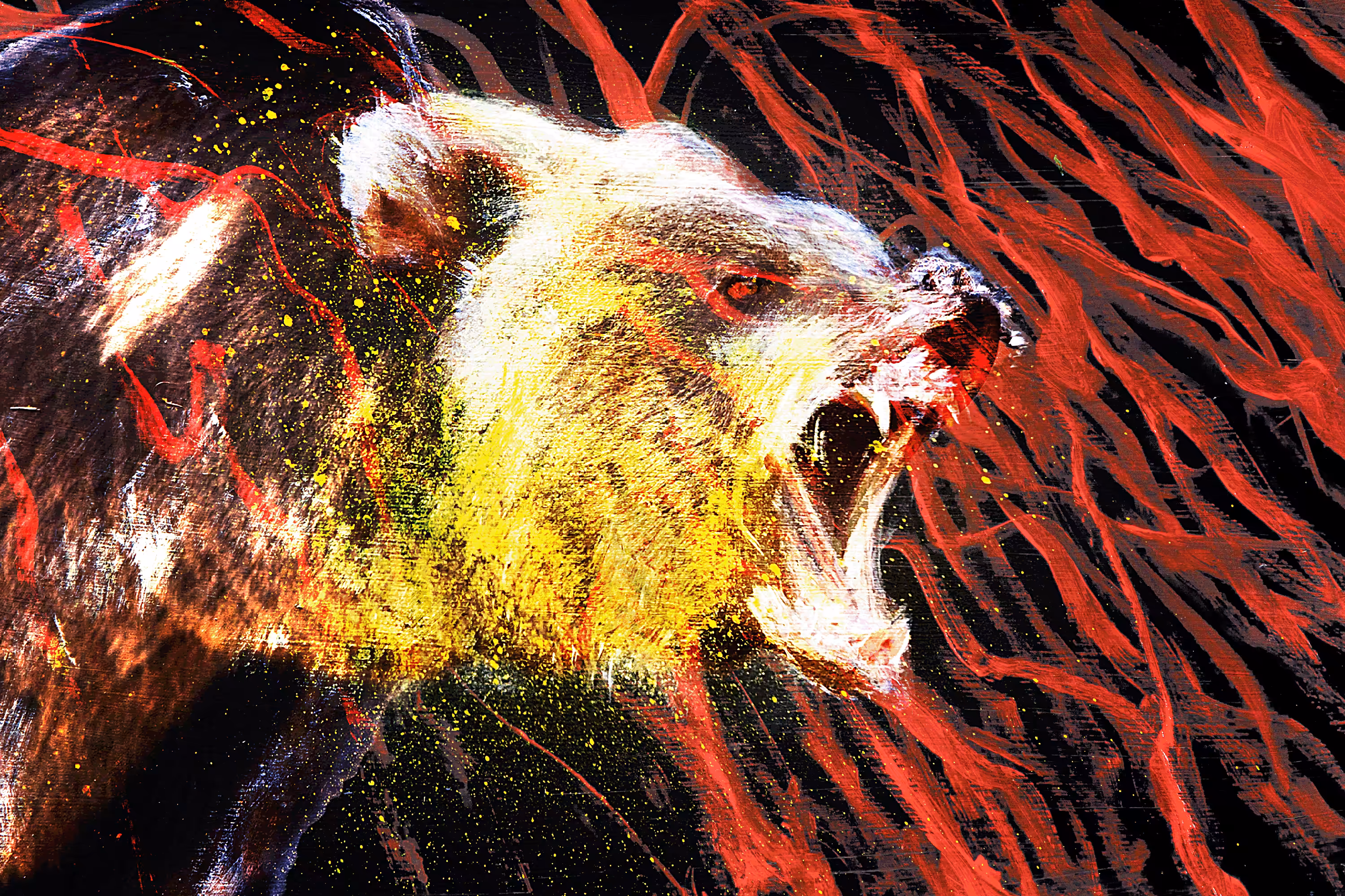Bear