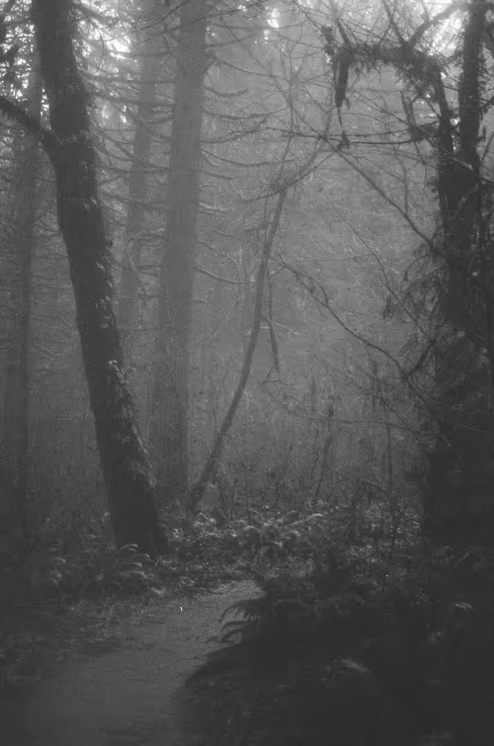 Whereabouts unknown