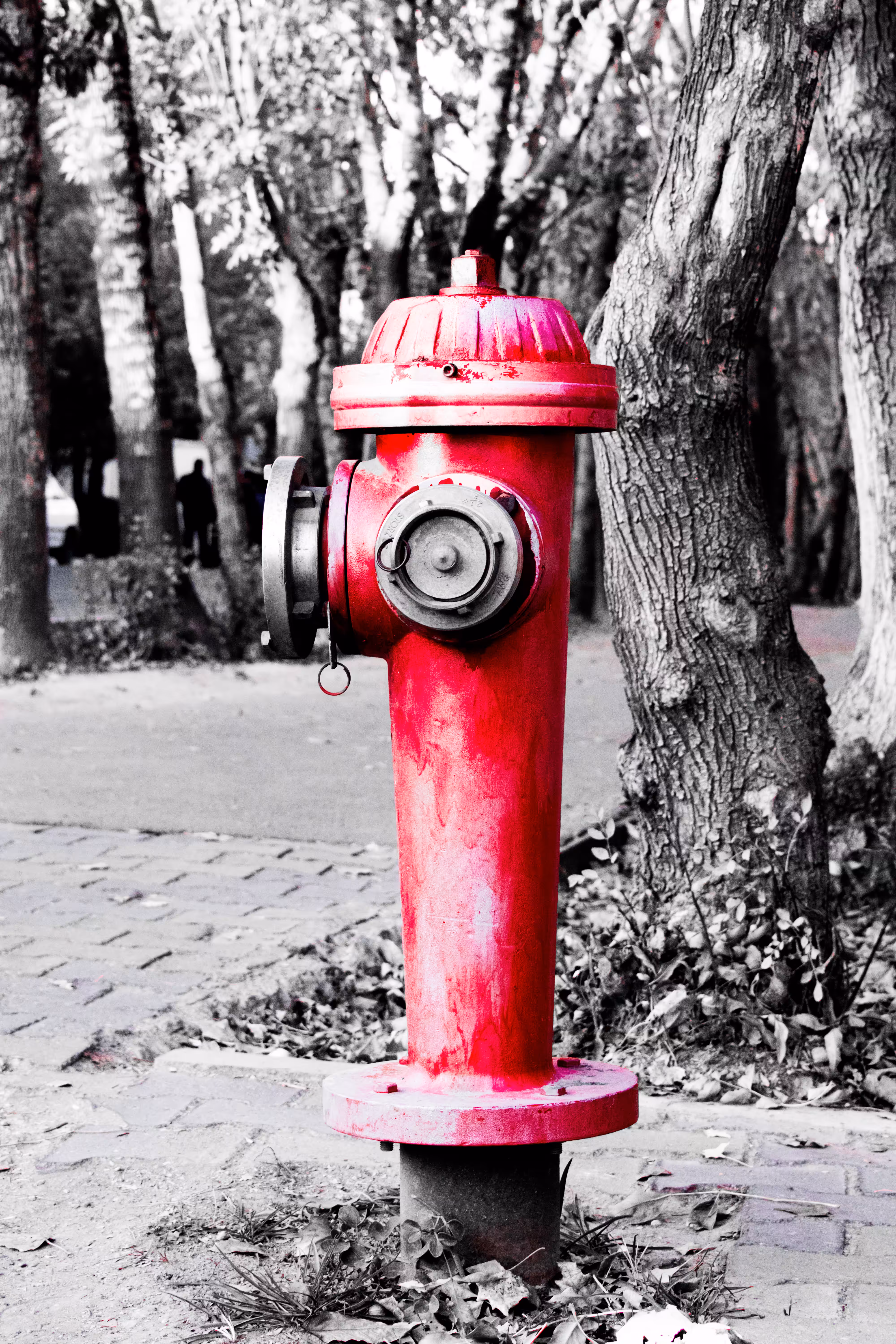 photography #01