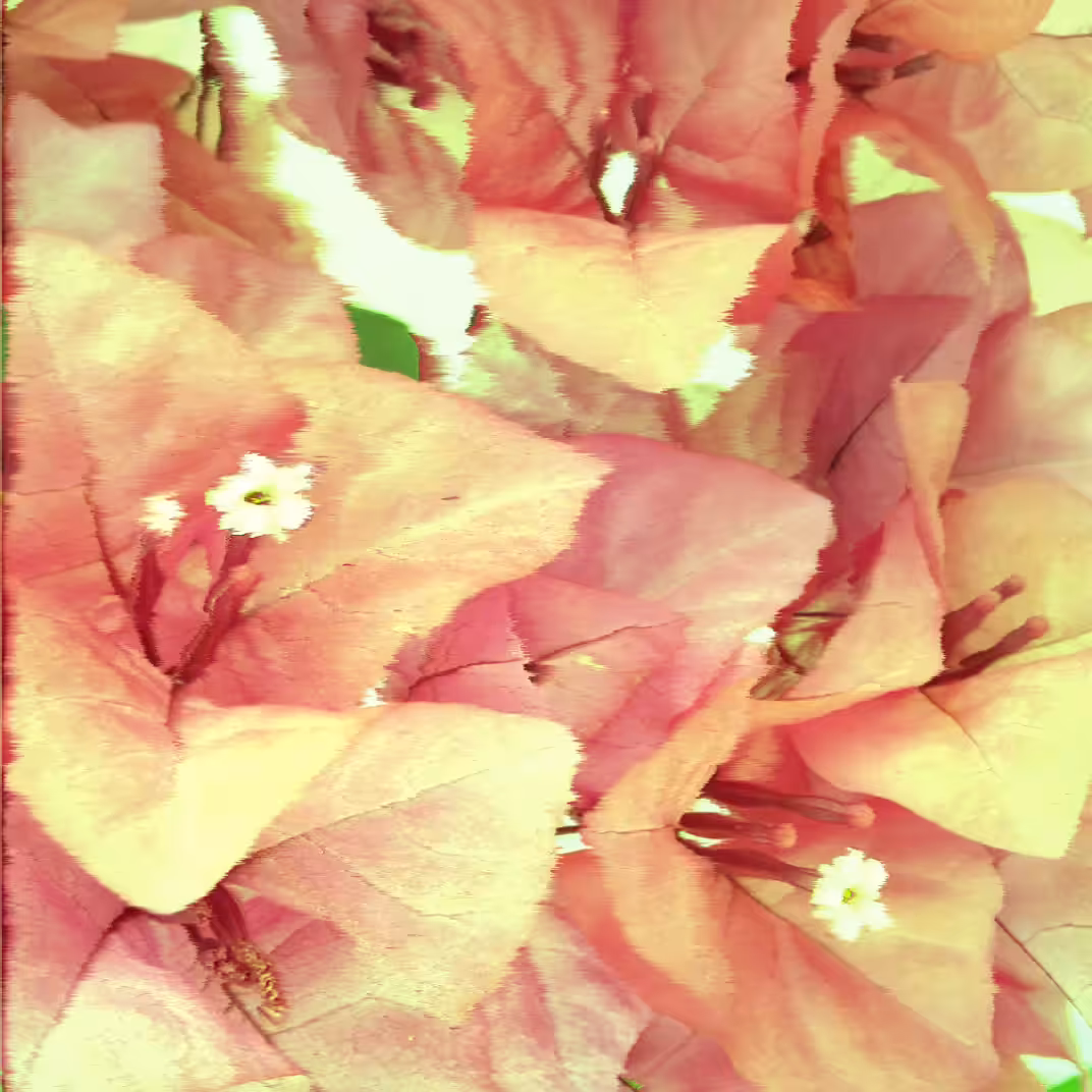Flowers are happiness