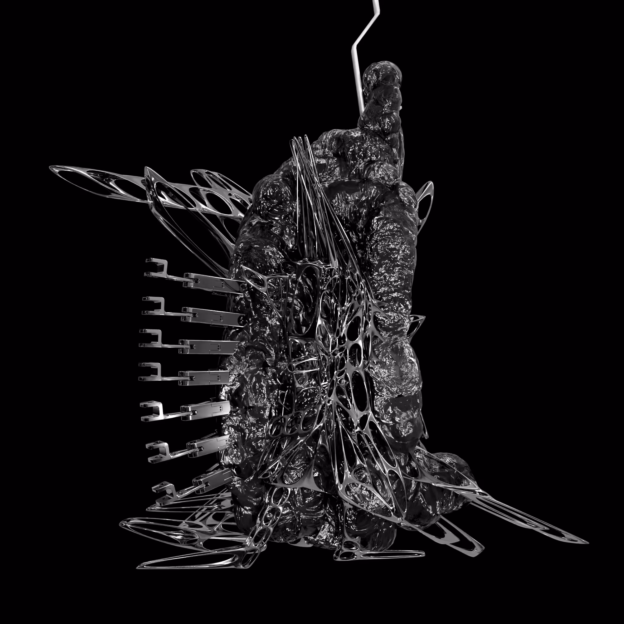 NIXPW TRANSMUTATION 0002