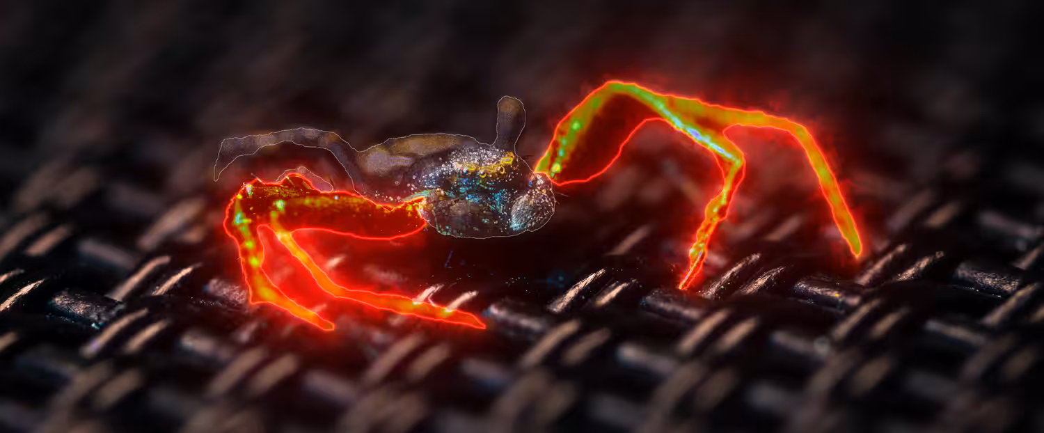 Spooder Man