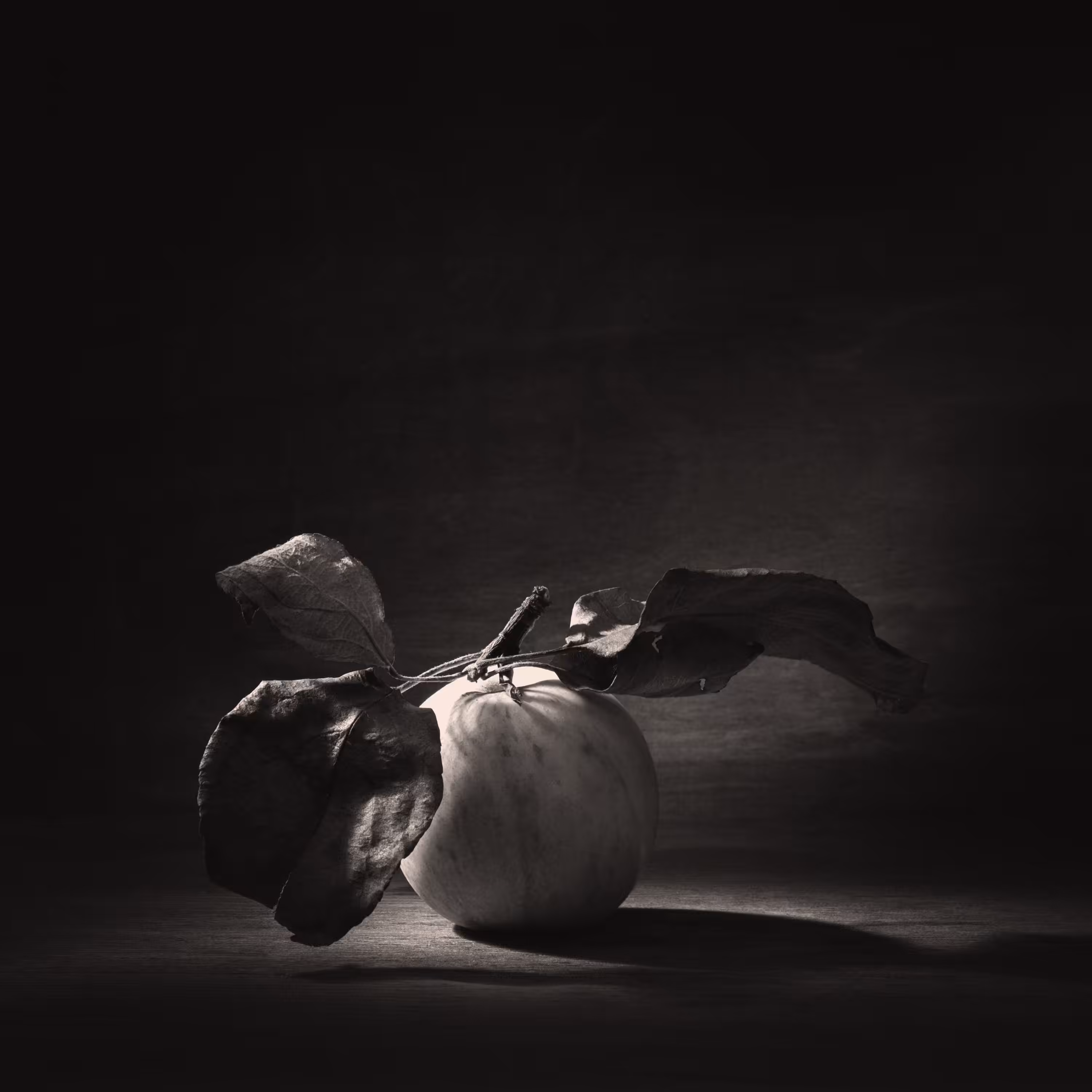 An apple