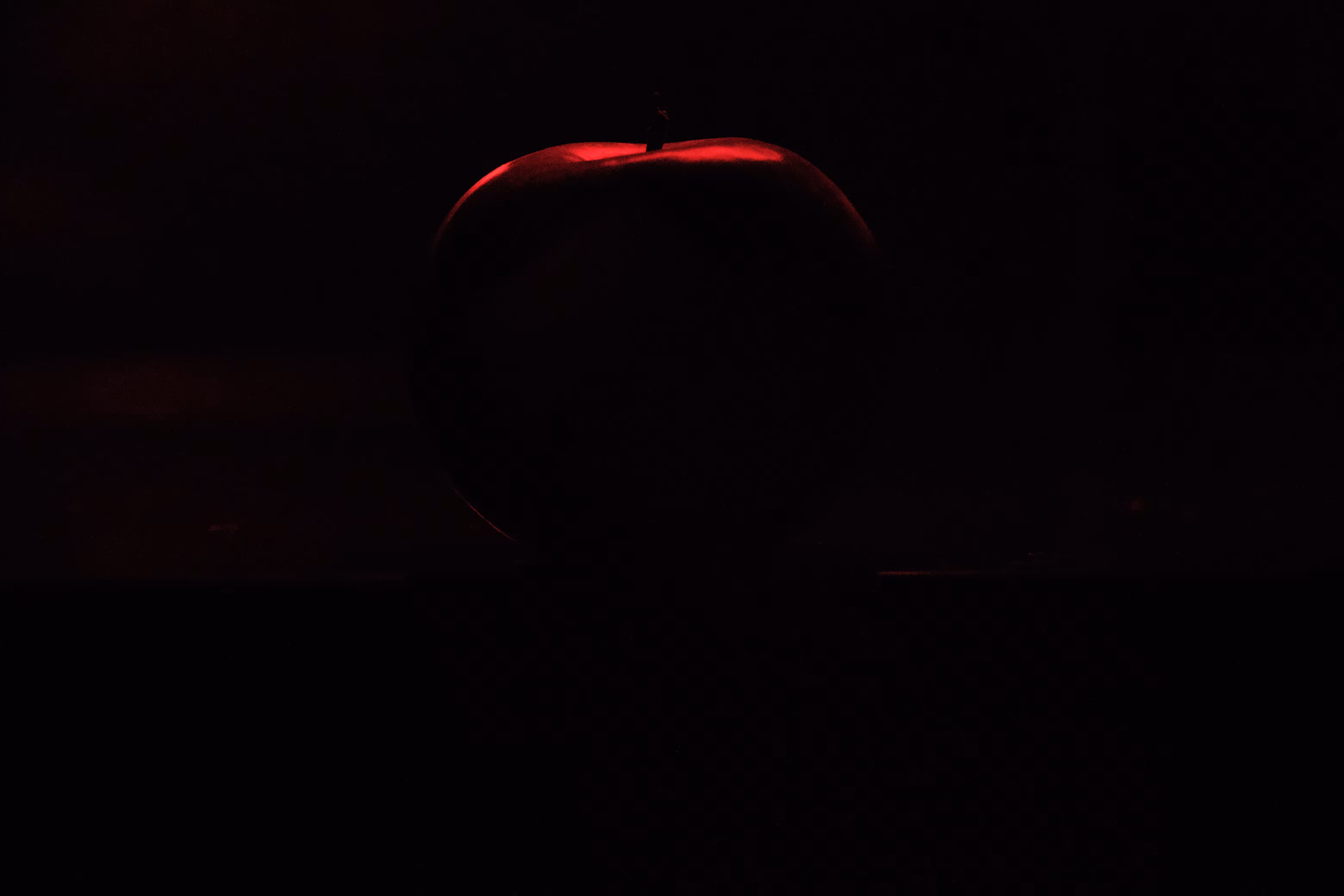 Photographer's DNA - #28