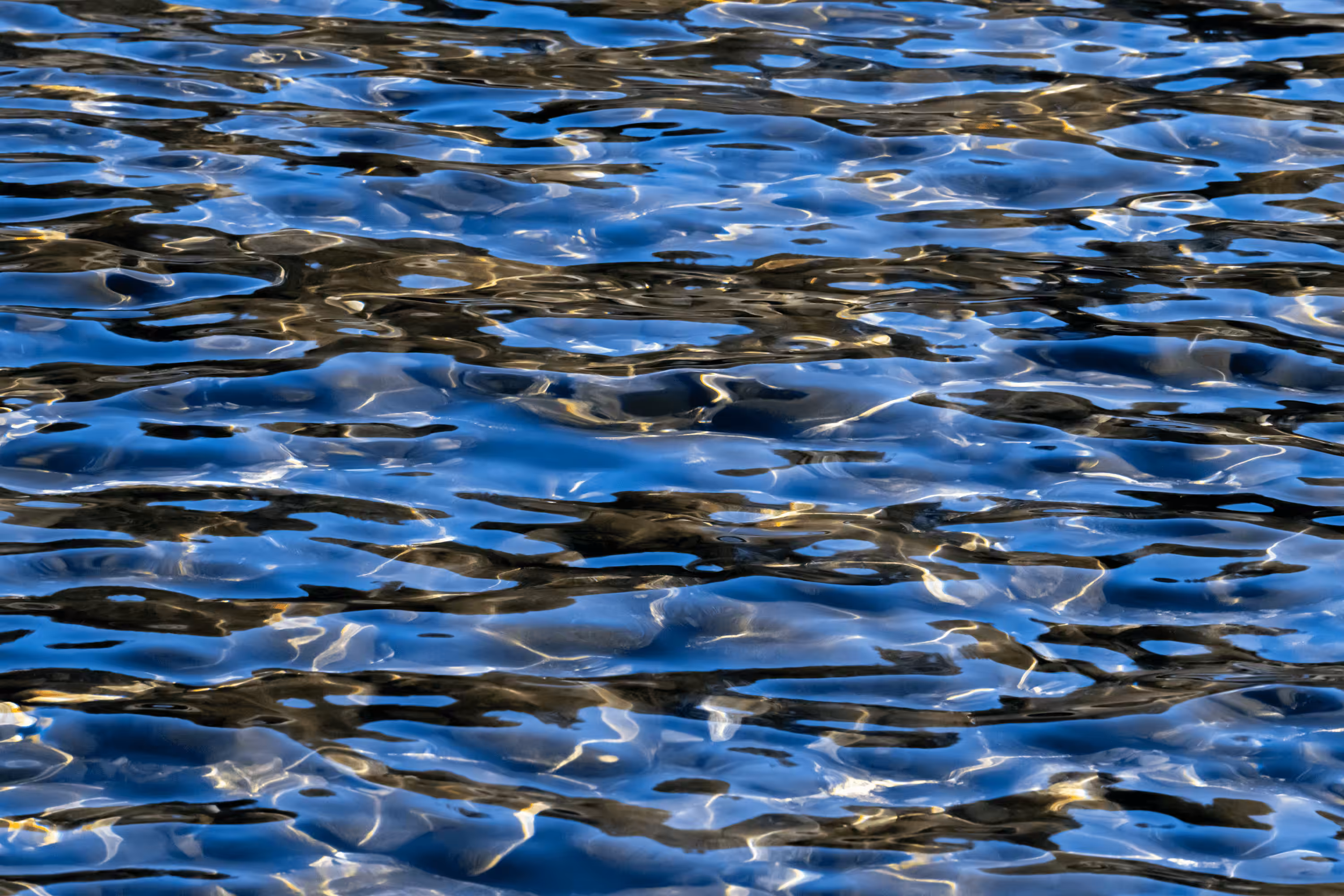 Ebb and Flow #91