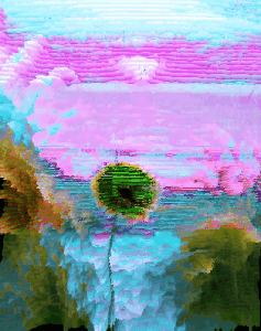 Nature: Static Bloom