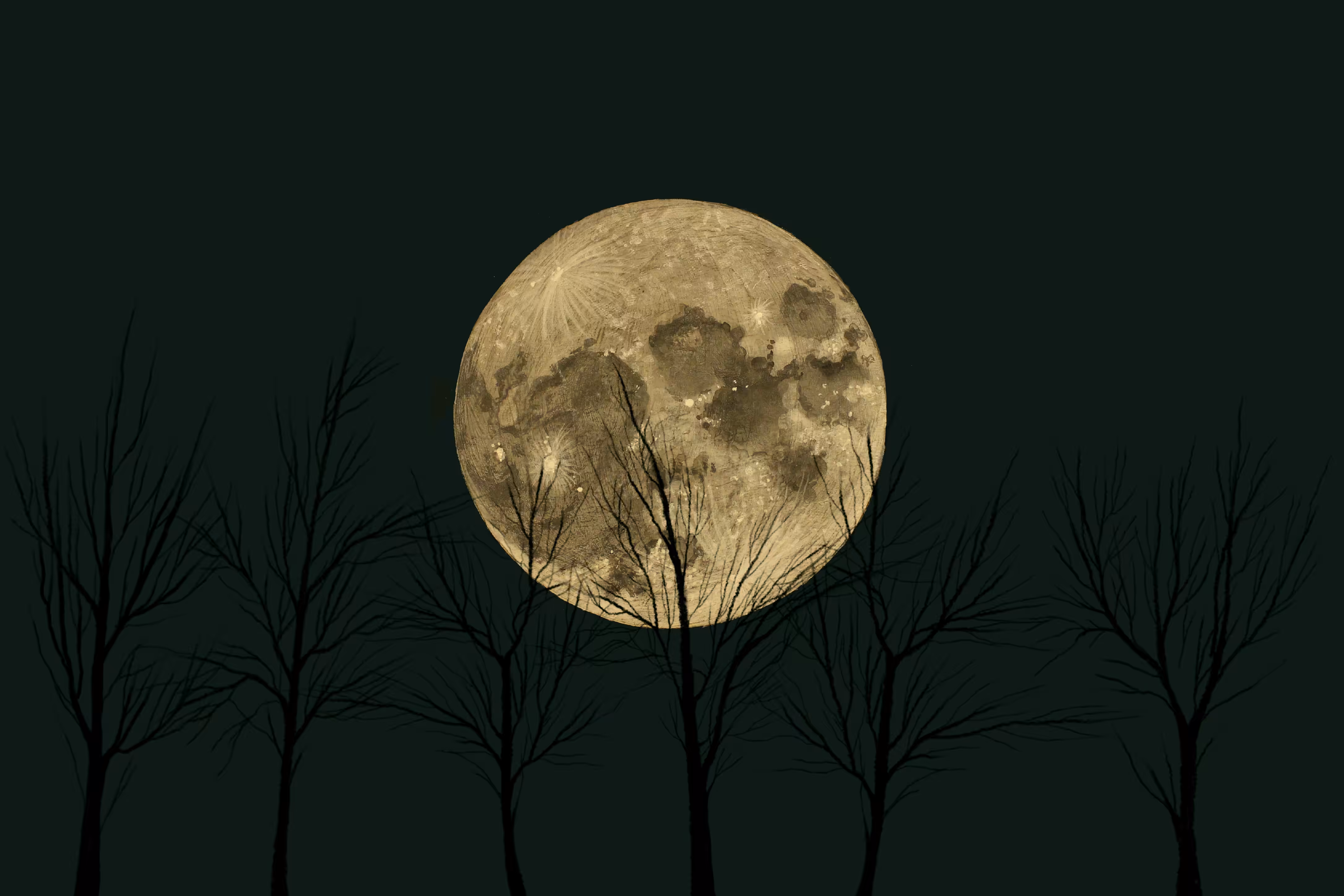 Silent Nights