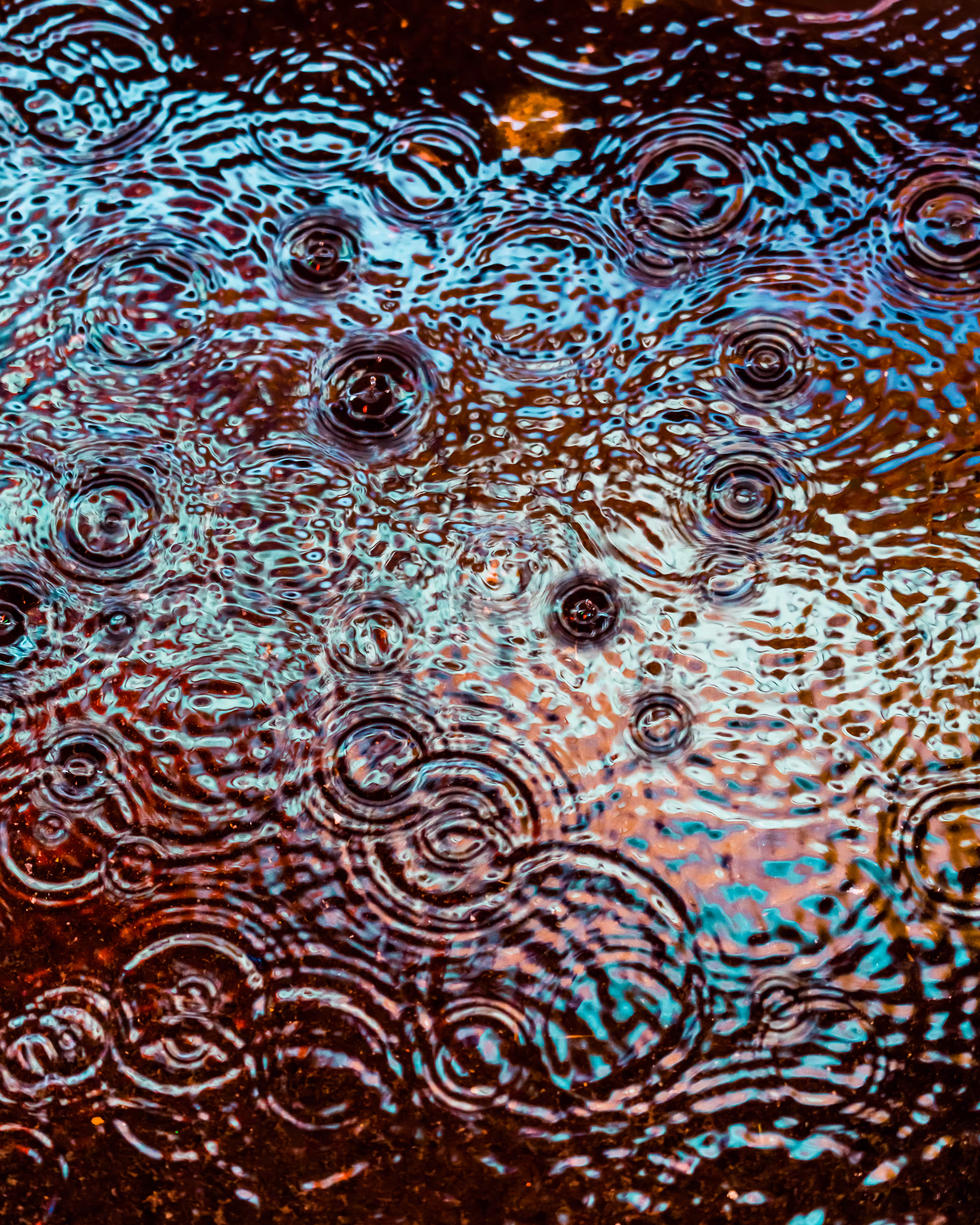 DRIP #682