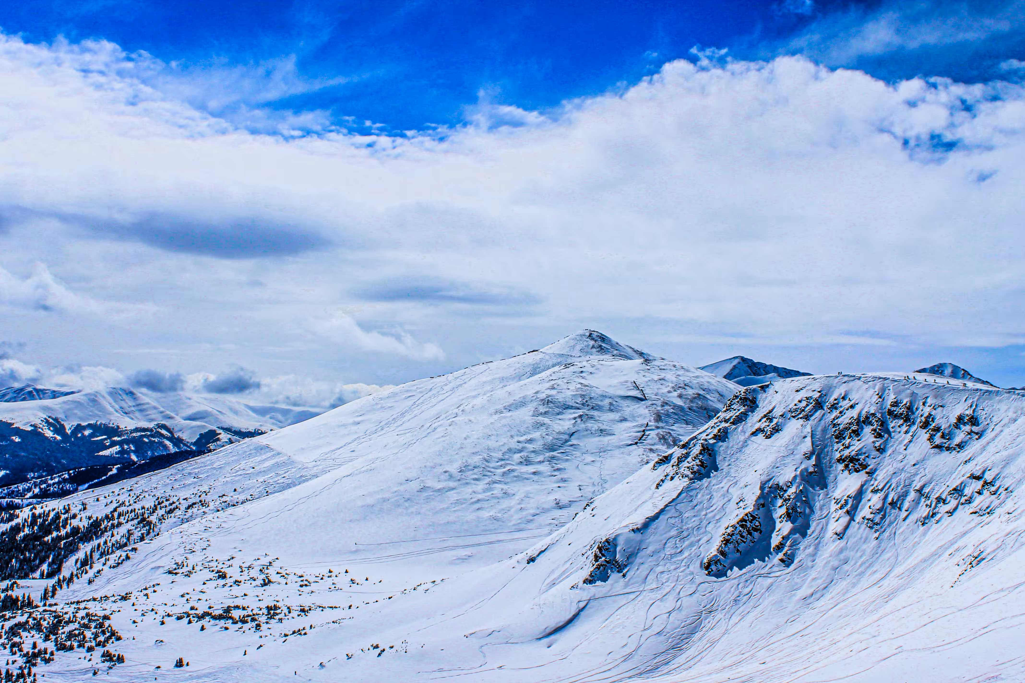 Fresh Tracks