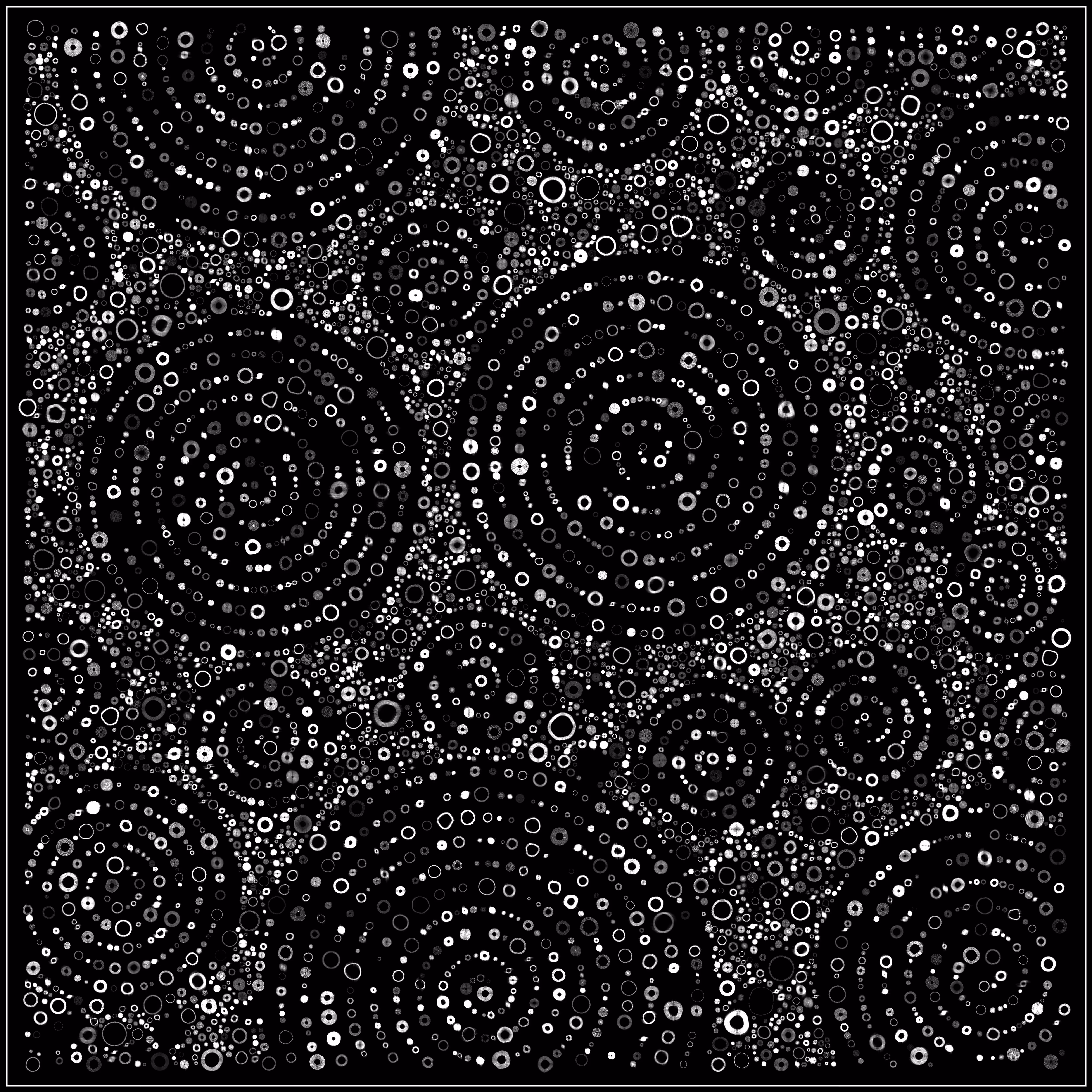 Spiral Bound