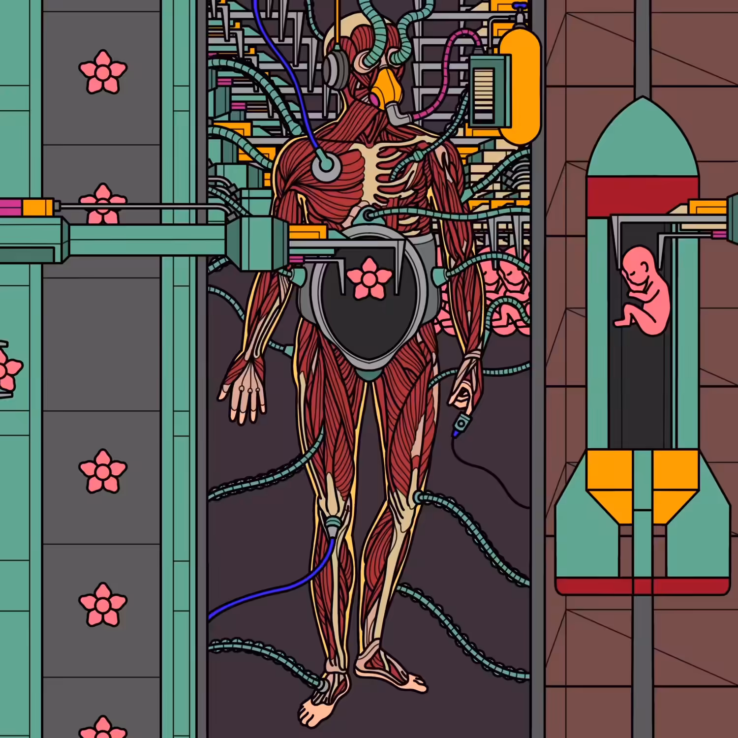 METAMORPHOSIS.FURTHER