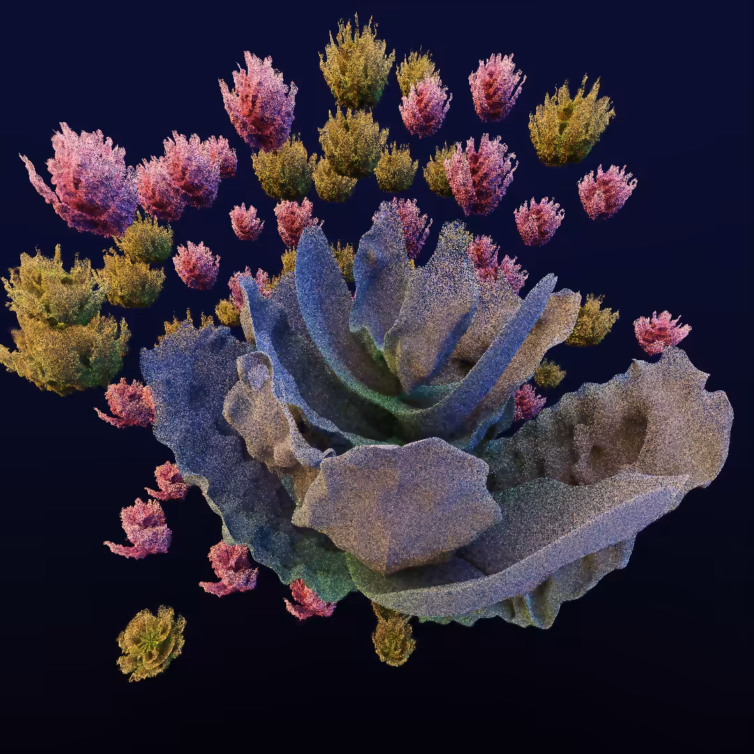 rosarium #107