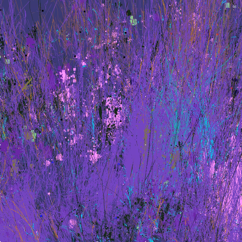 Infinite Garden: 69126 Flowers