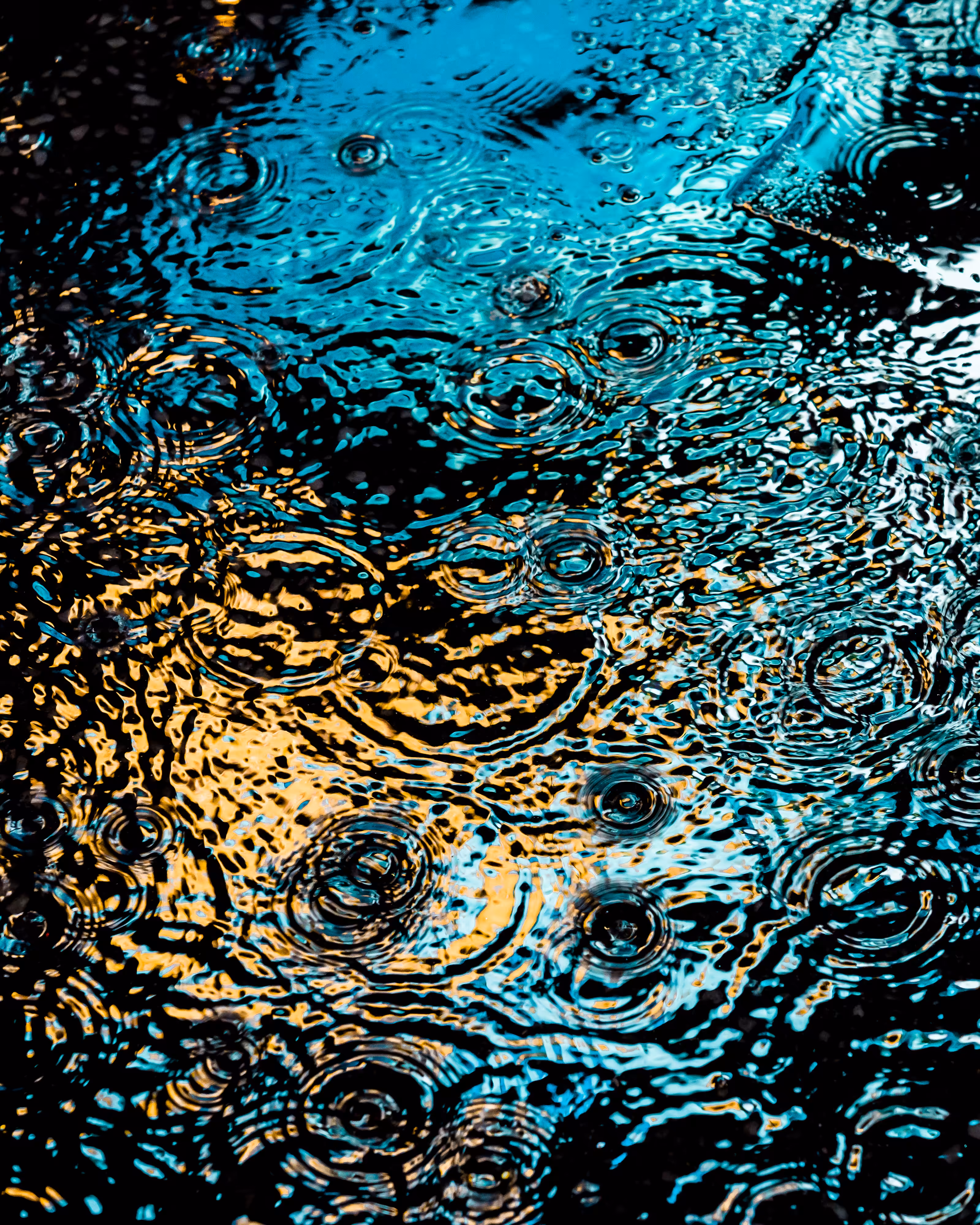 DRIP DROP: DRIP #384