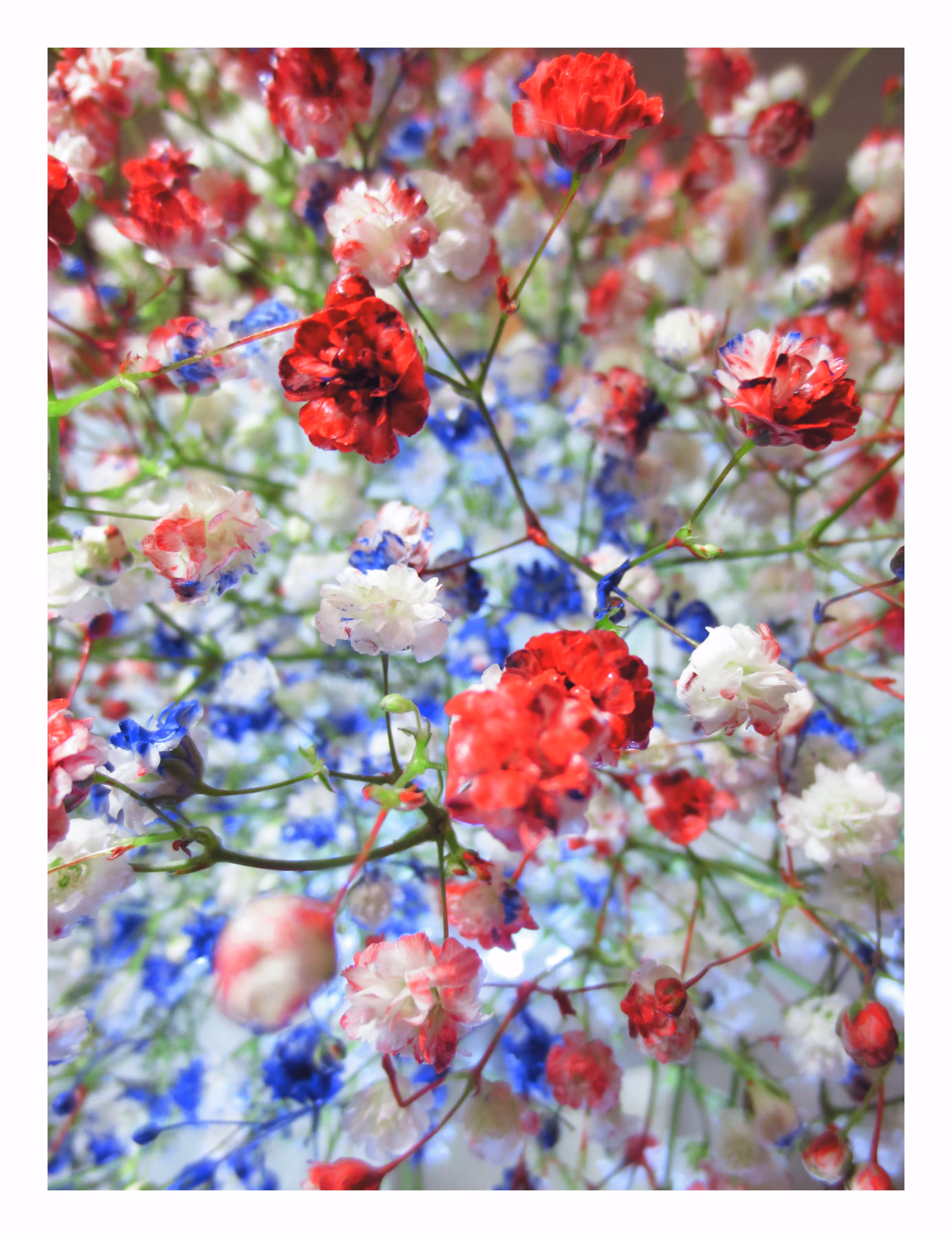 July