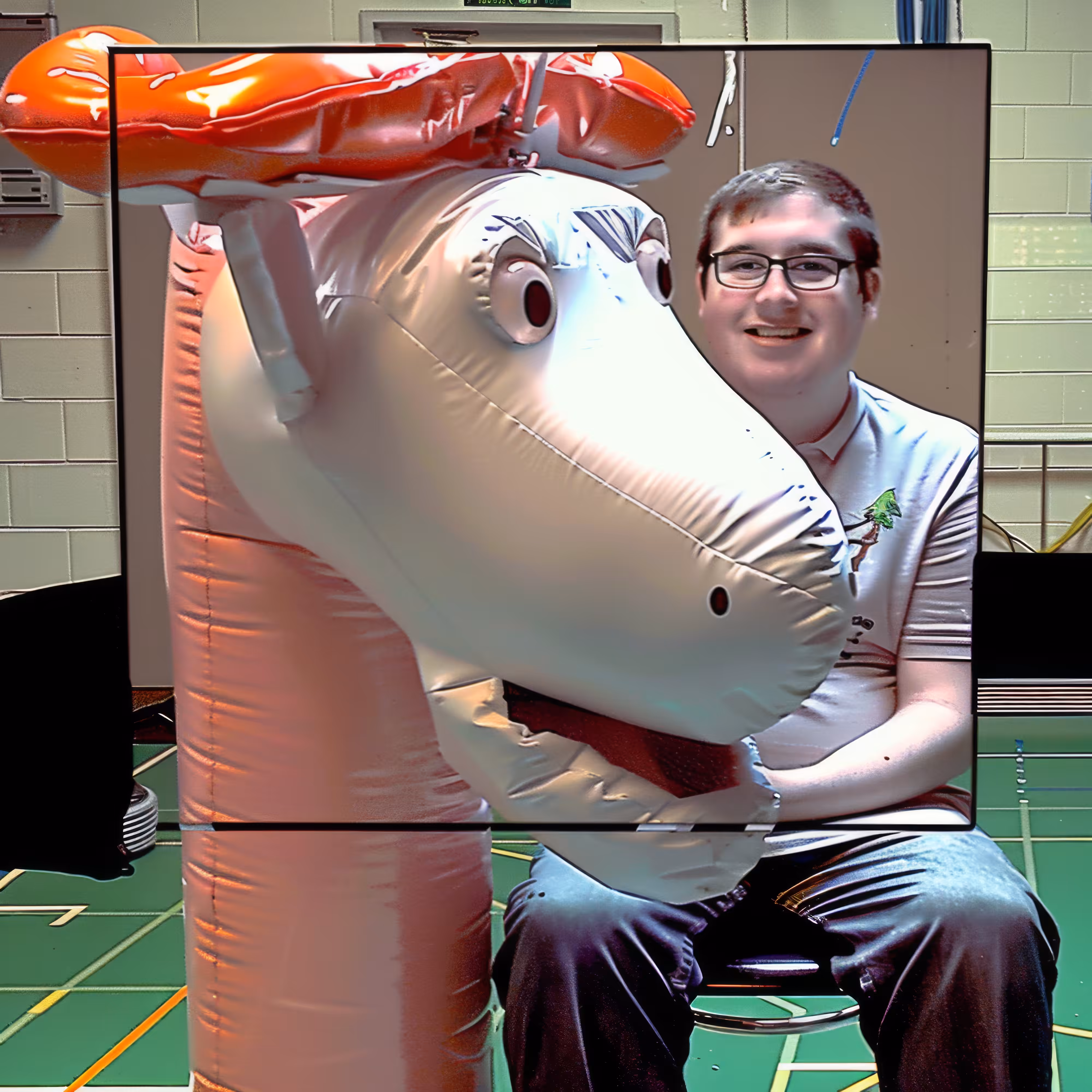 BAD JPEGs: Inflatable-Pose