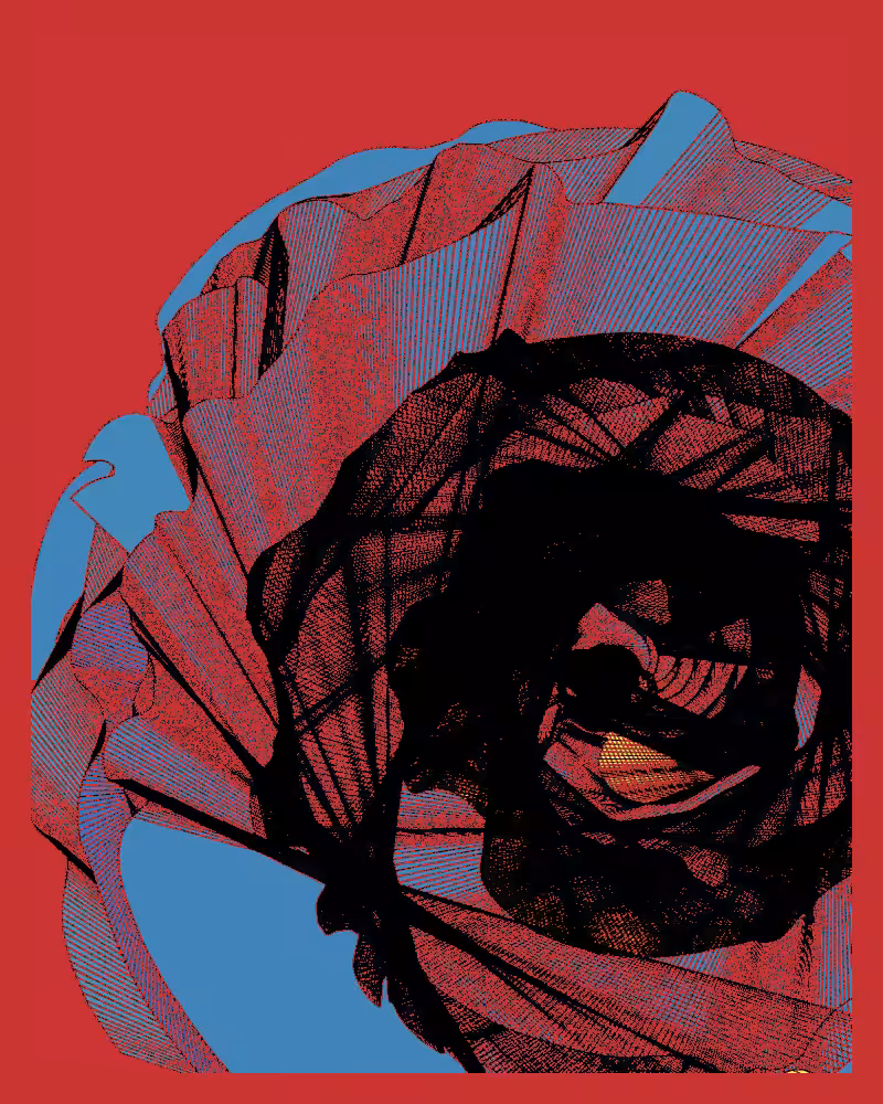 Pinwheel #11
