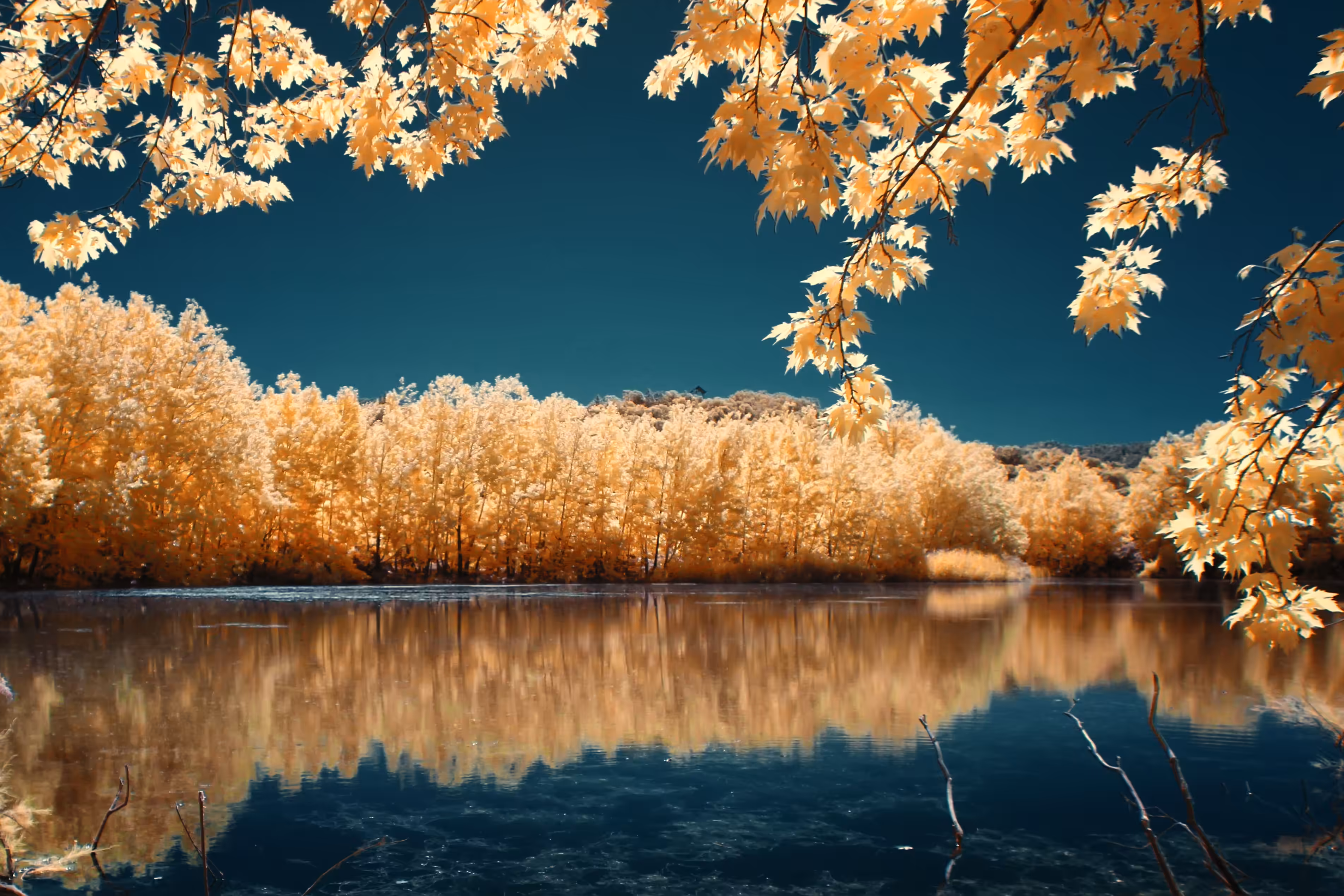 Reflections