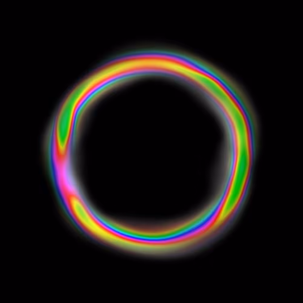 raw torus 1