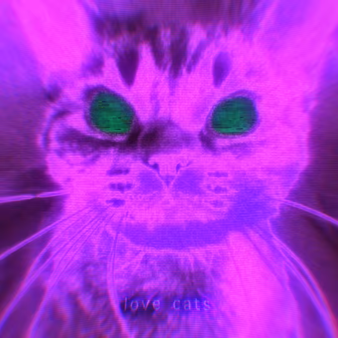 Love cats