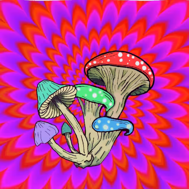 Psychedelic Fungi