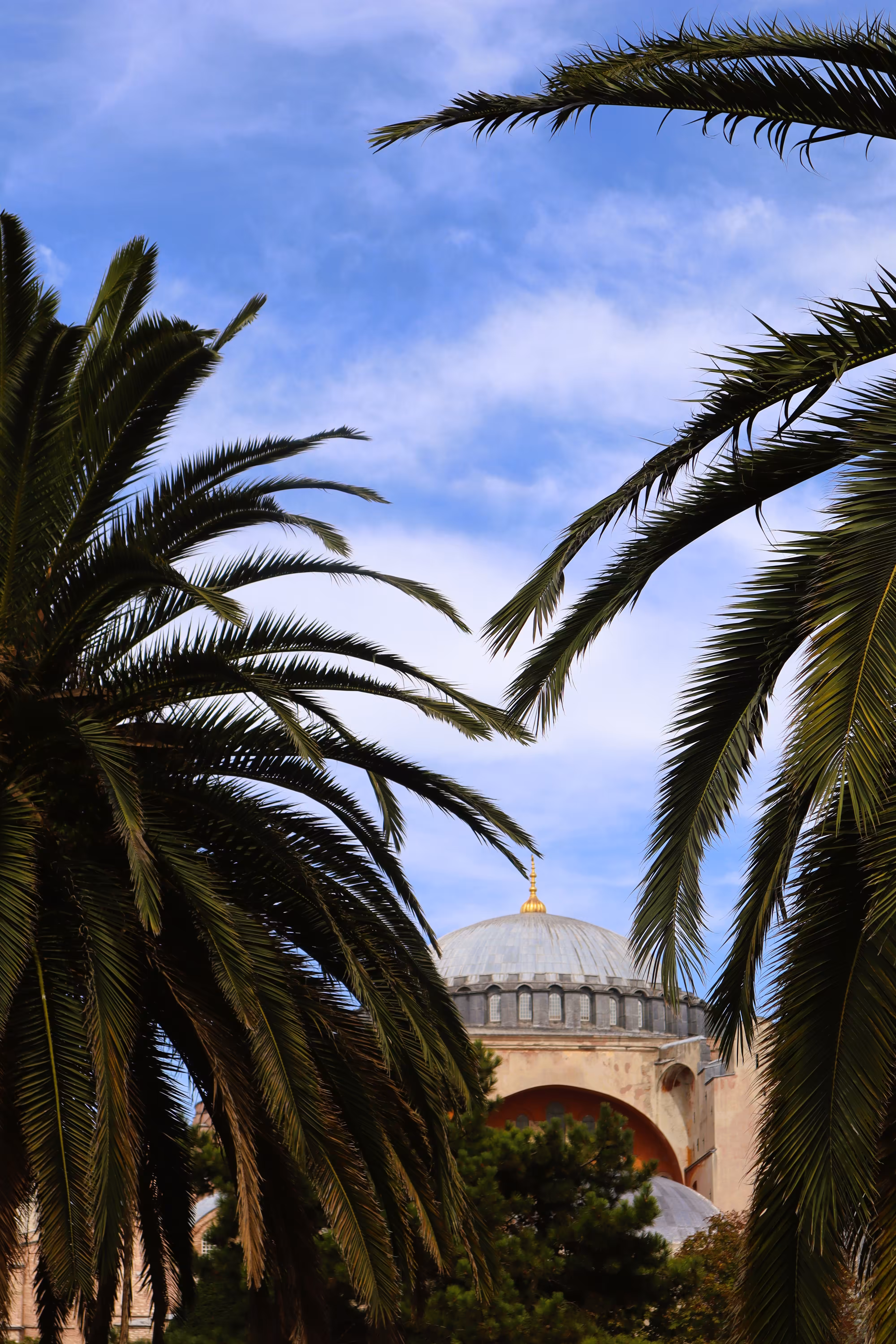 Streets of istanbul: Hagia Sophia 