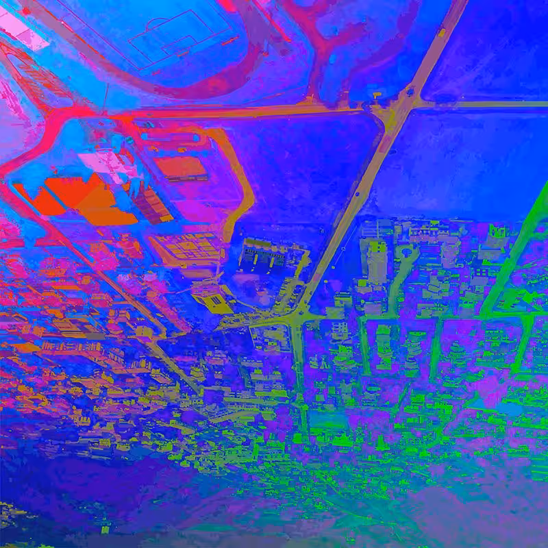 Reflections on a bugs-eye view: Bugs-eye #4