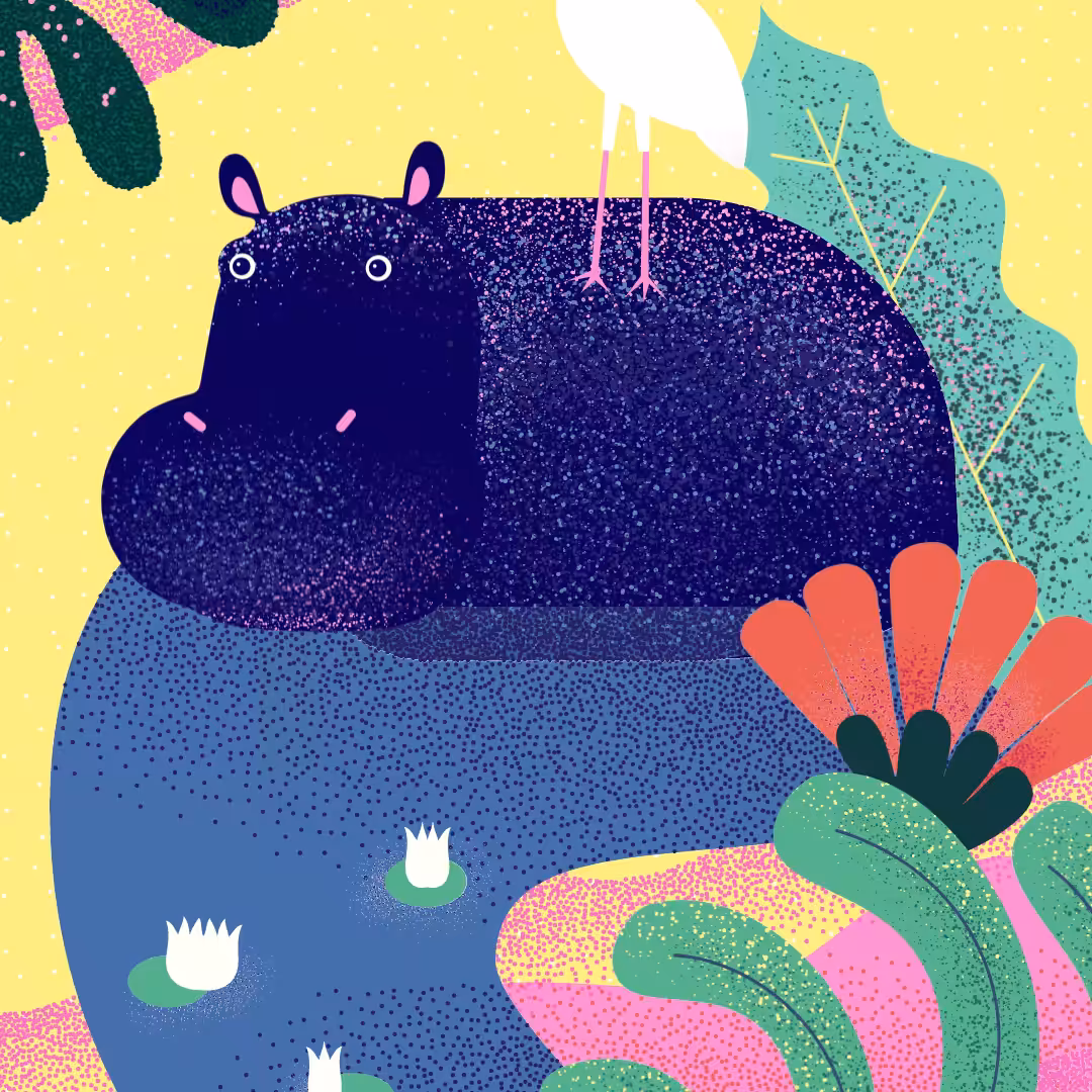 Hippo