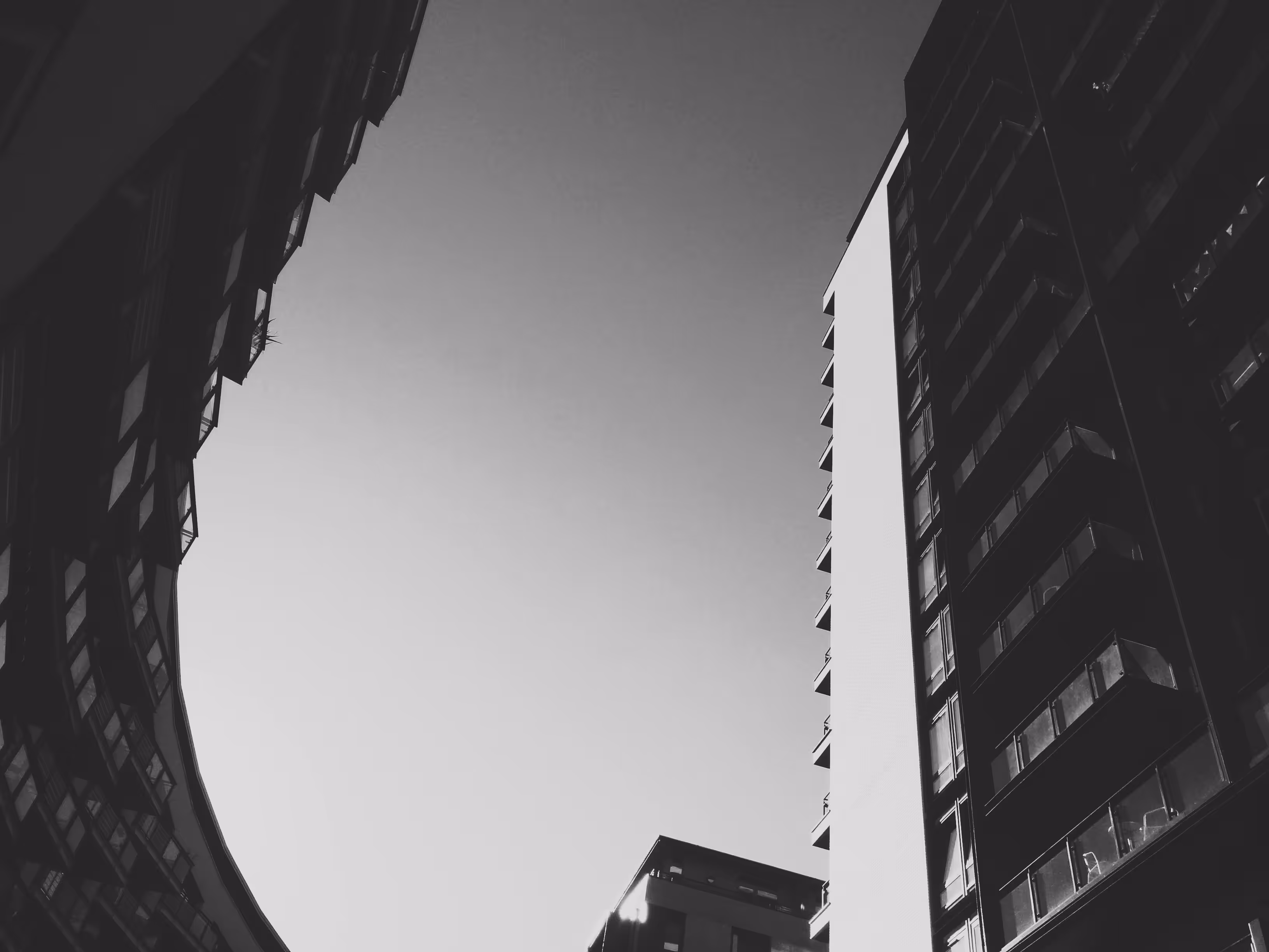 Curve