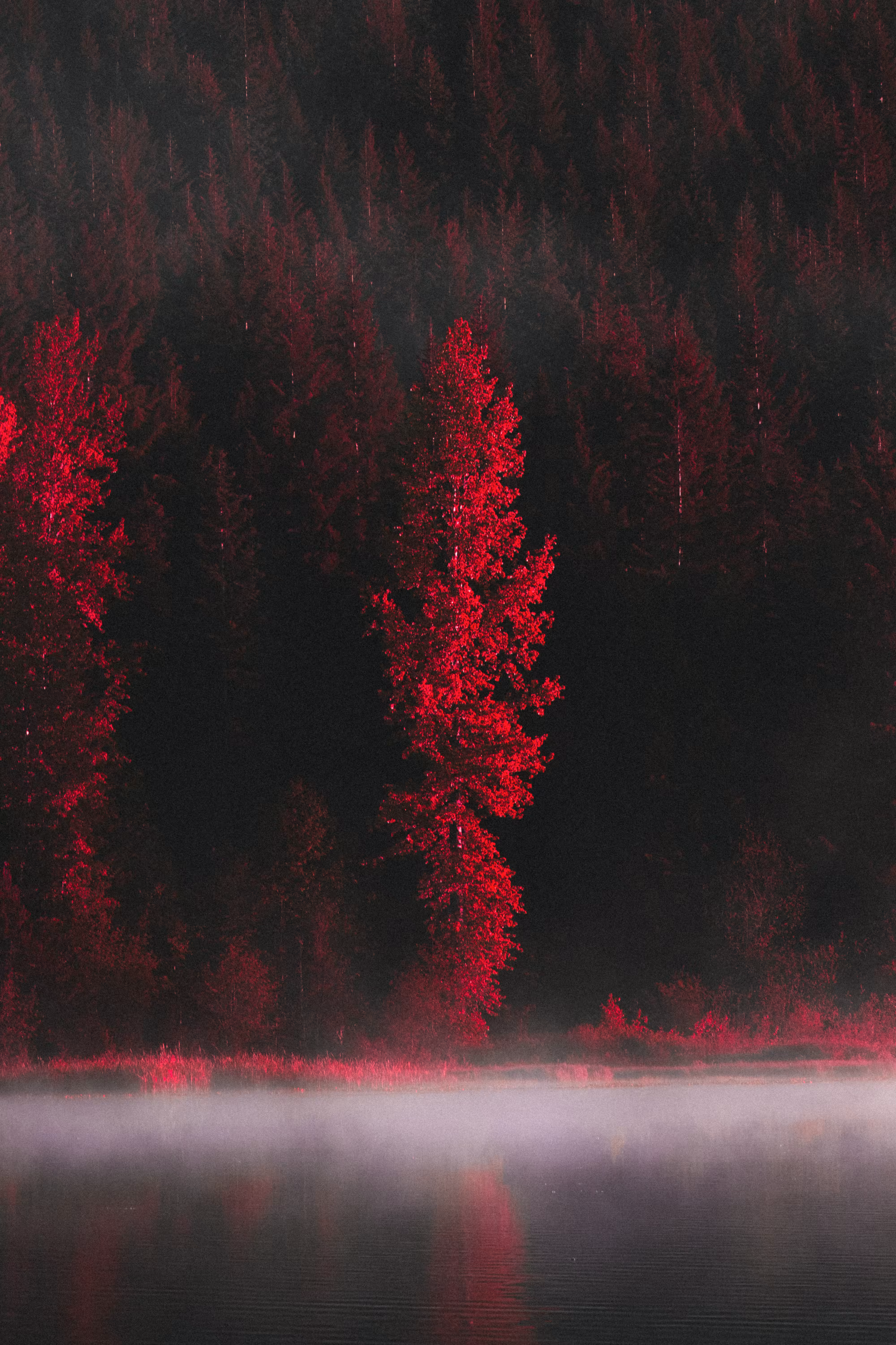 seclusion 