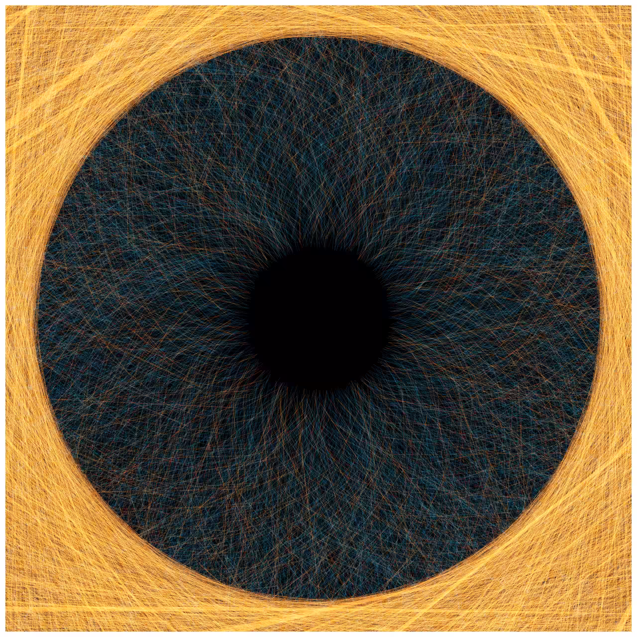 Iris #38