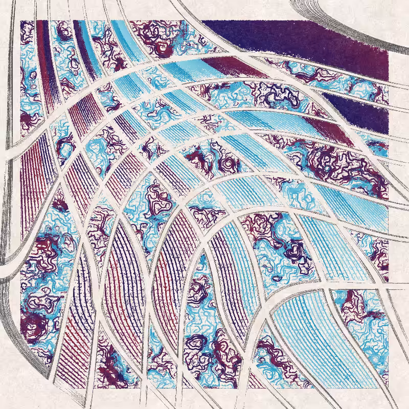 Curlida #113