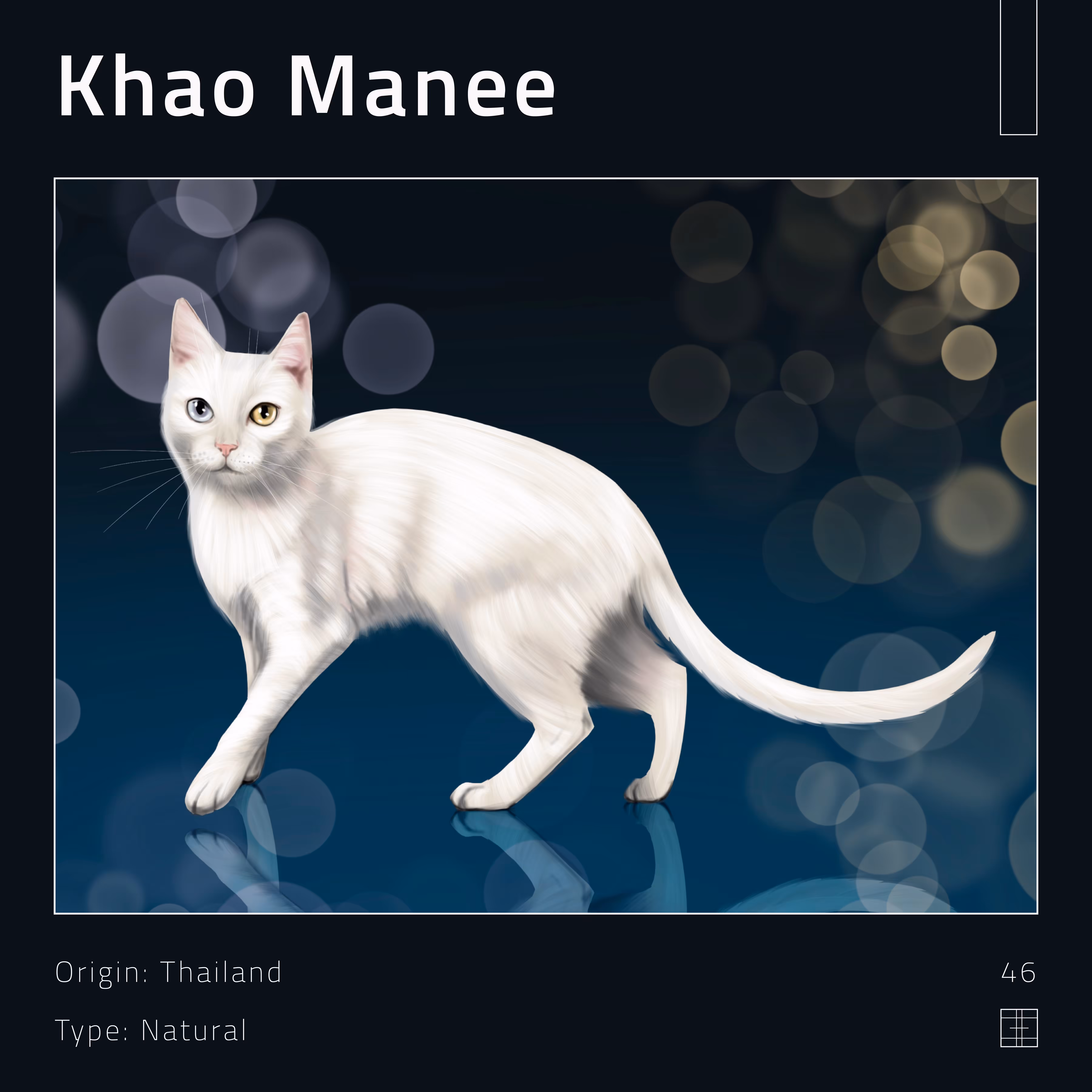 46 – Khao Manee