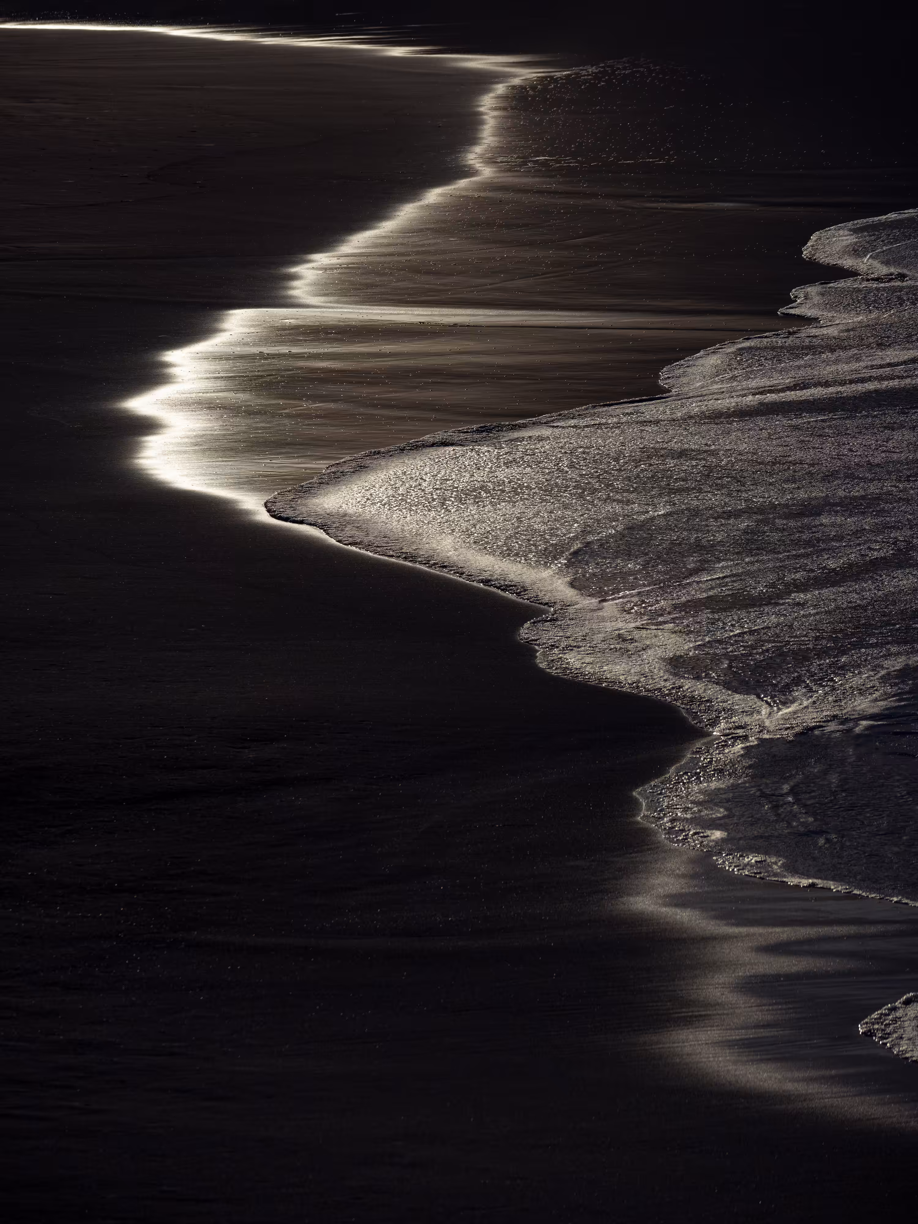 Wet Sands